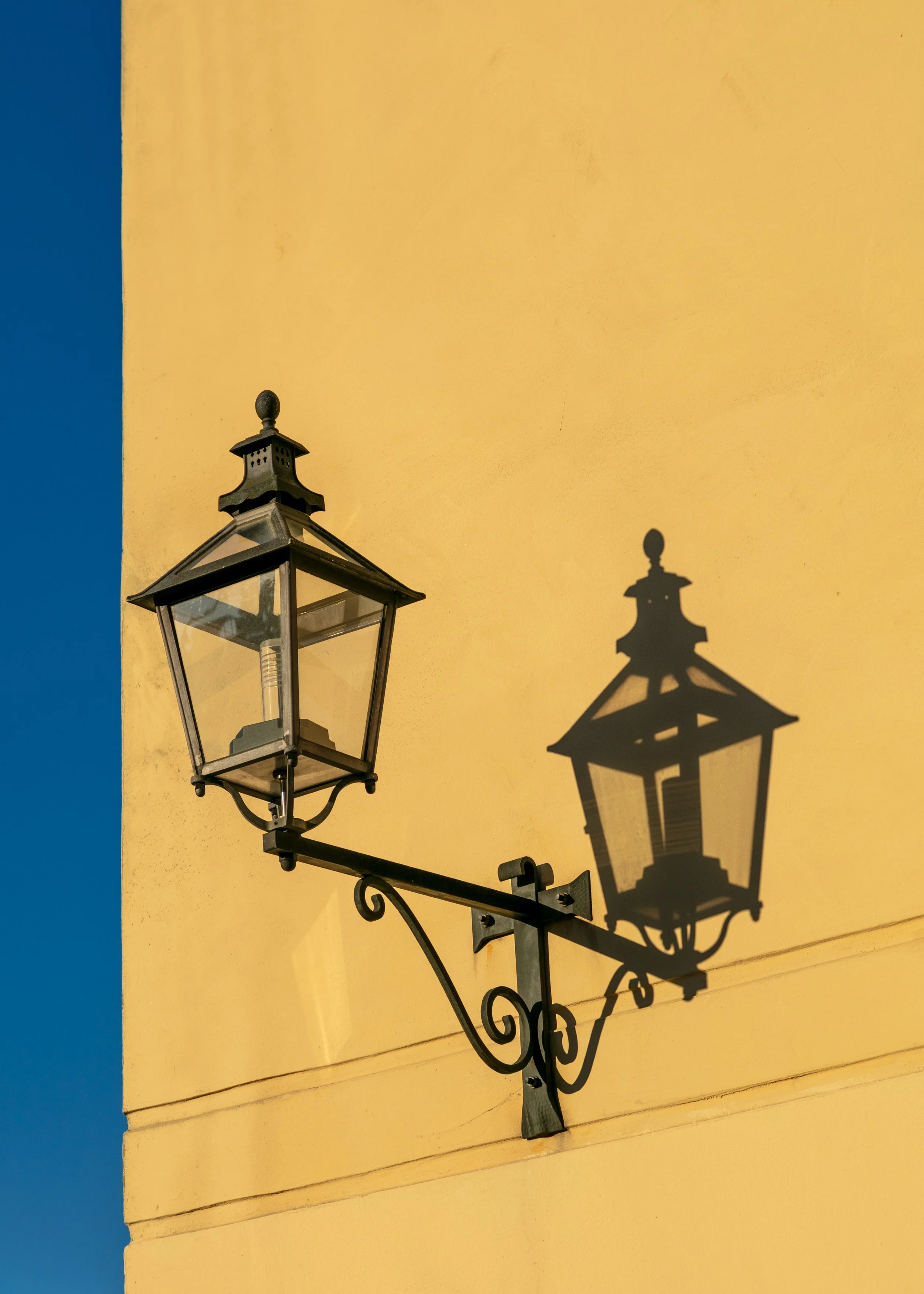 Where shadows tell their own story.