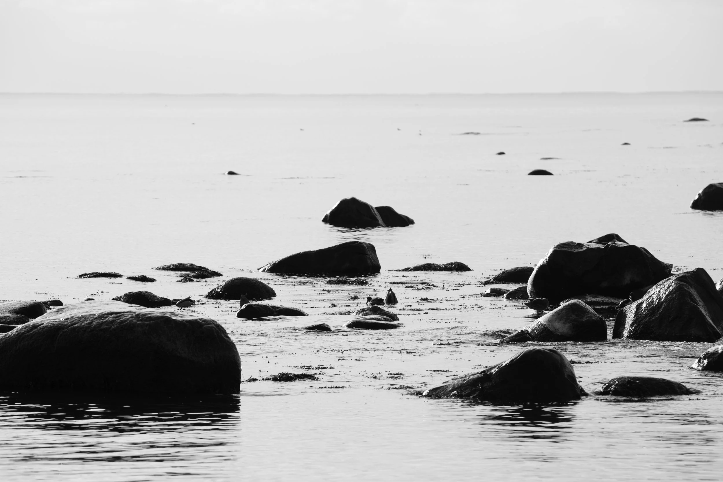 imeless stones meet endless sea — stillness in monochrome.