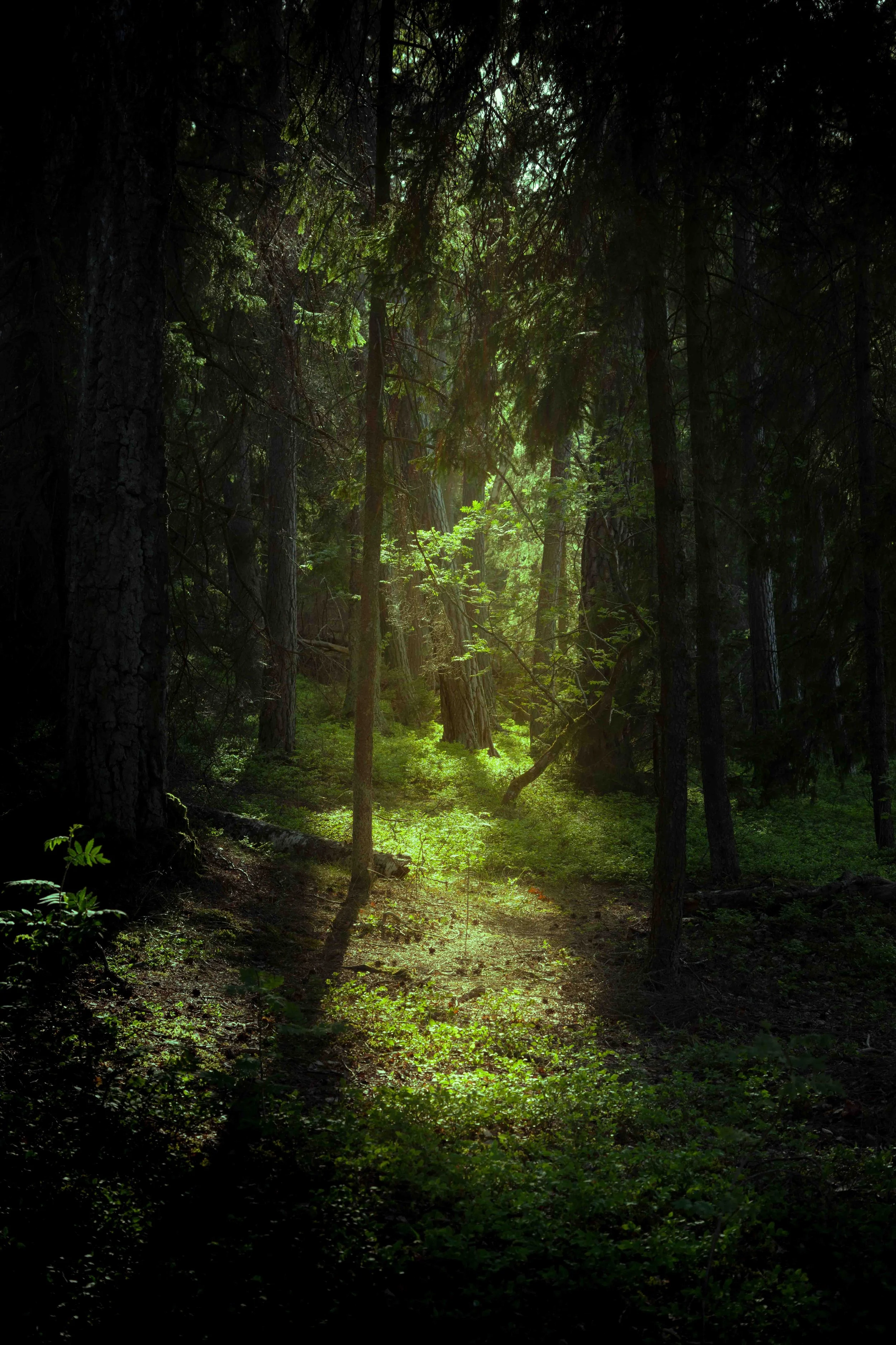 Where the light finds you.