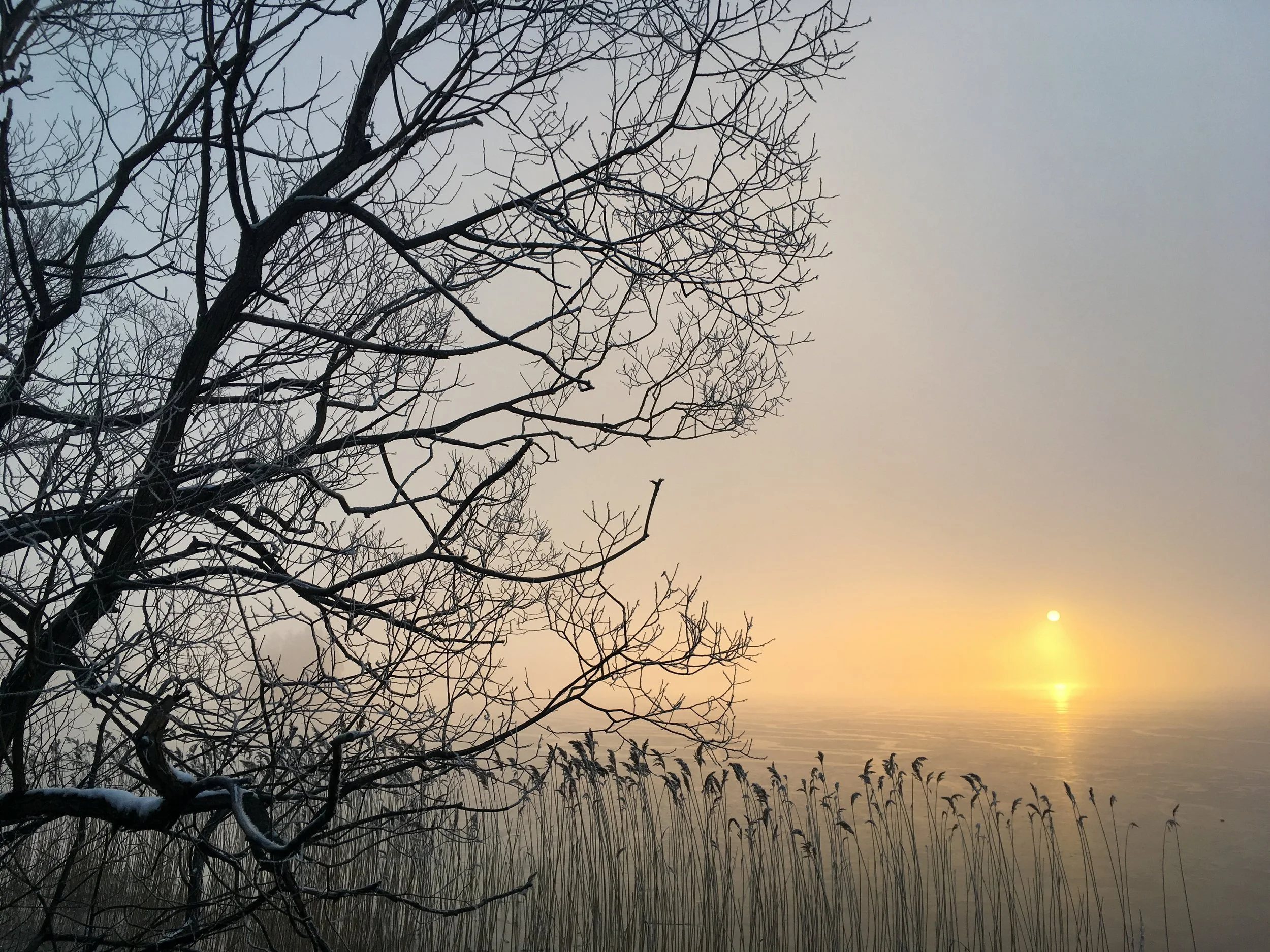 Frozen serenity at day’s end.