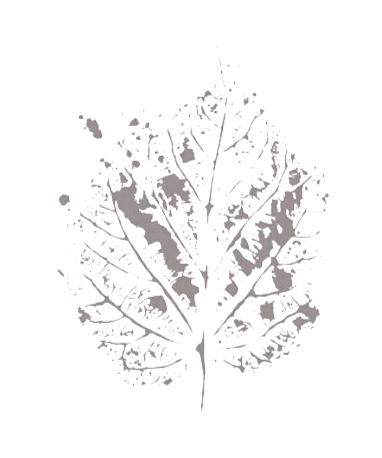 A simple sketch of a pine branch with long needles and a single pine cone—art inspired by an Edmonton psychologist—on a black background.