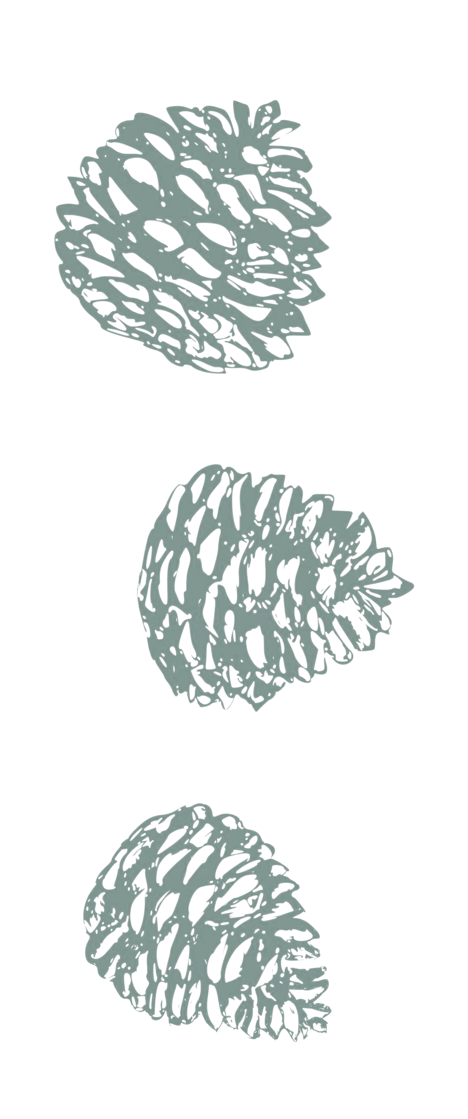 Three silver-colored abstract leaf designs on black background arranged vertically.