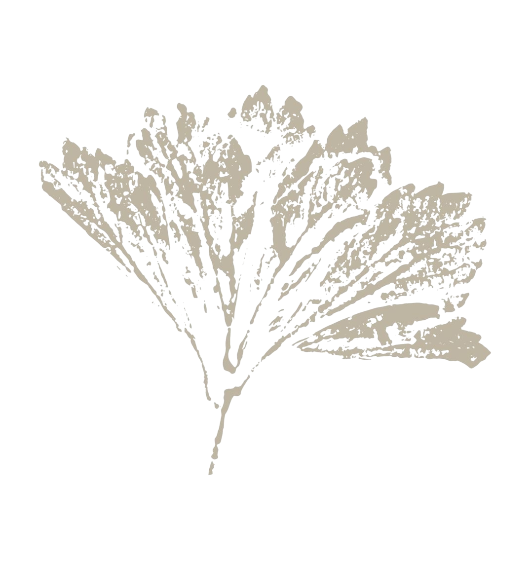 Artistic abstract image with grayish-white floral or feather-like shapes and bright blue and yellow accents.