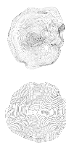 Two black and white tree rings illustrations, one with irregular edges and lines, the other more symmetrical and even. - therapy-for-first-responders-healthcare-workers-parents-professionals-edmonton-psychologist