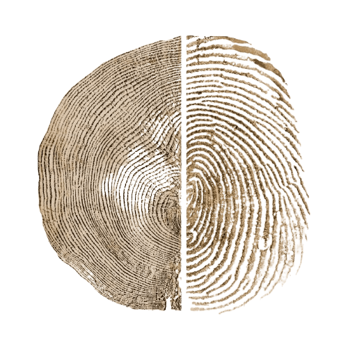 A circle divided in half, one side showing tree rings, the other a fingerprint—symbolizing an Edmonton psychologist's insight. - first responders psychologist edmonton anxiety therapy parents ocd anxiety psychologist edmonton