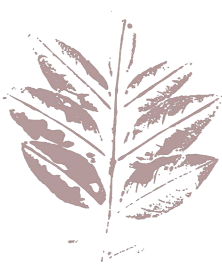 Simple, stylized drawing of a leaf with visible veins on a black background, ideal for an Edmonton psychologist's logo. - edmonton psychologist rates fees and appointment information