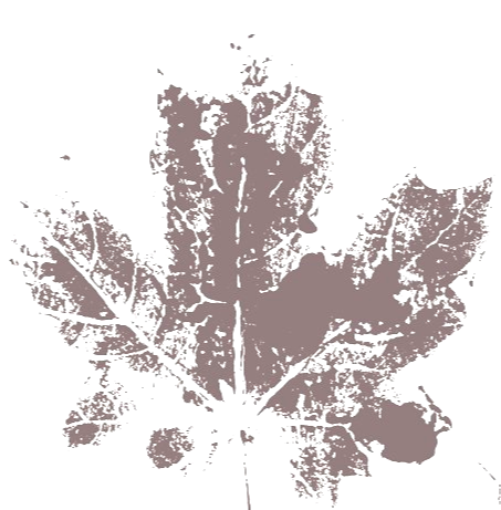 Digital illustration by an Edmonton psychologist of a partially decayed maple leaf with jagged edges on a black background. - edmonton psychologist rates fees and appointment information