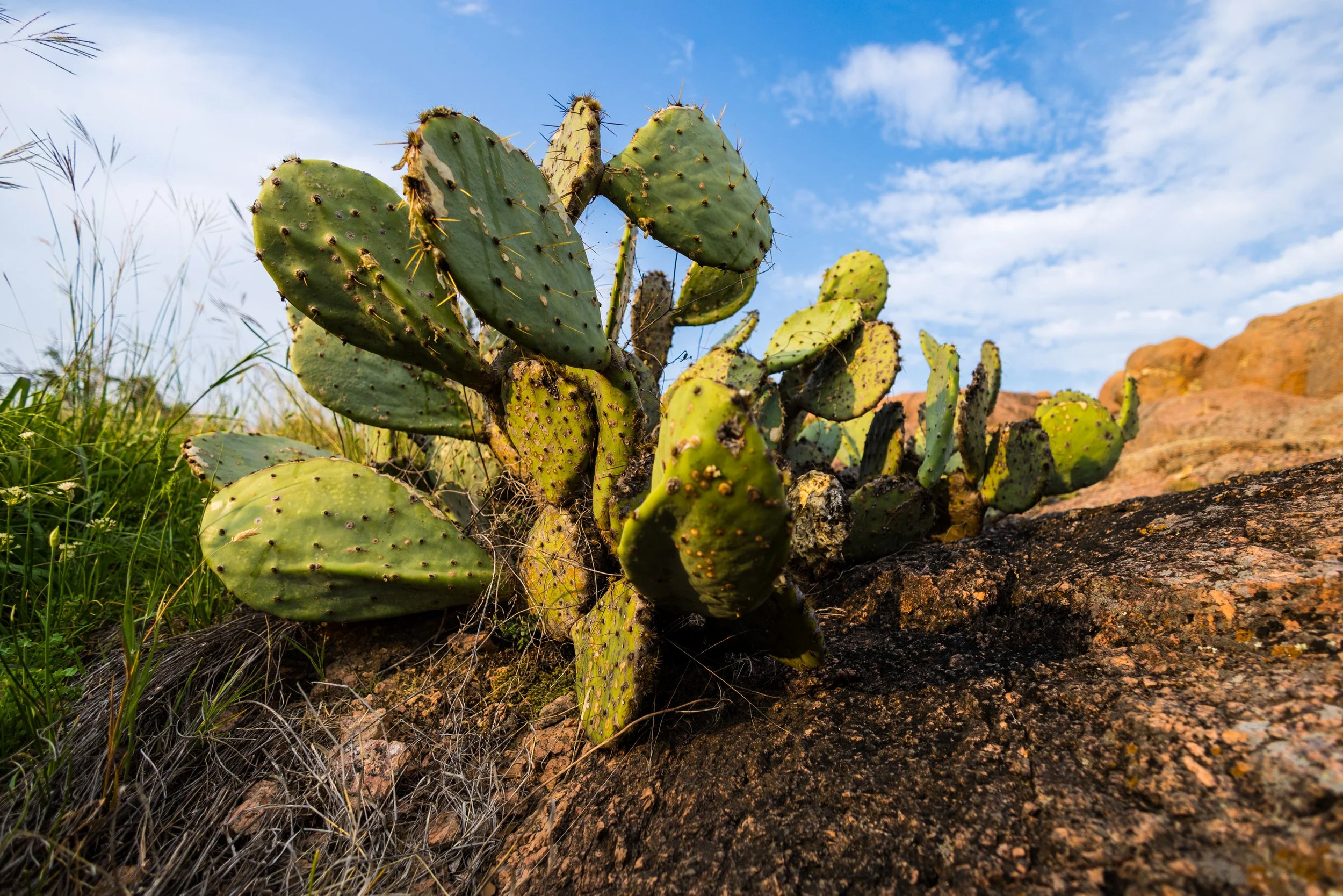 McCanlies, Jaxon-3836.jpg