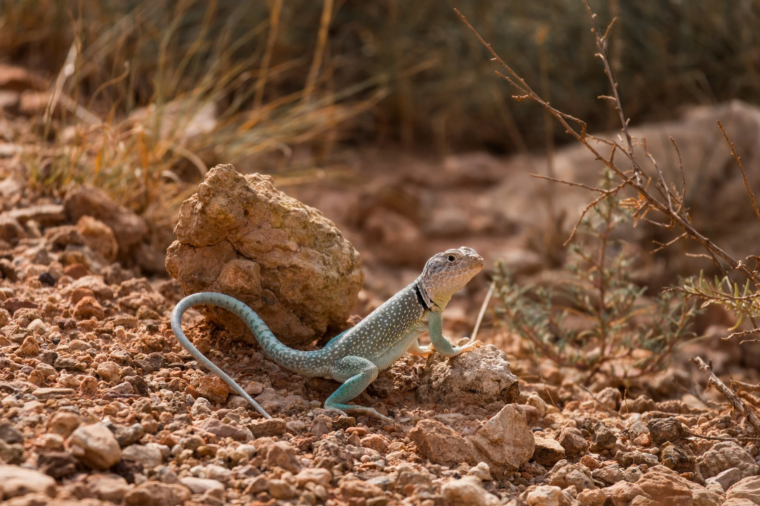 McCanlies, Jaxon-6316.jpg