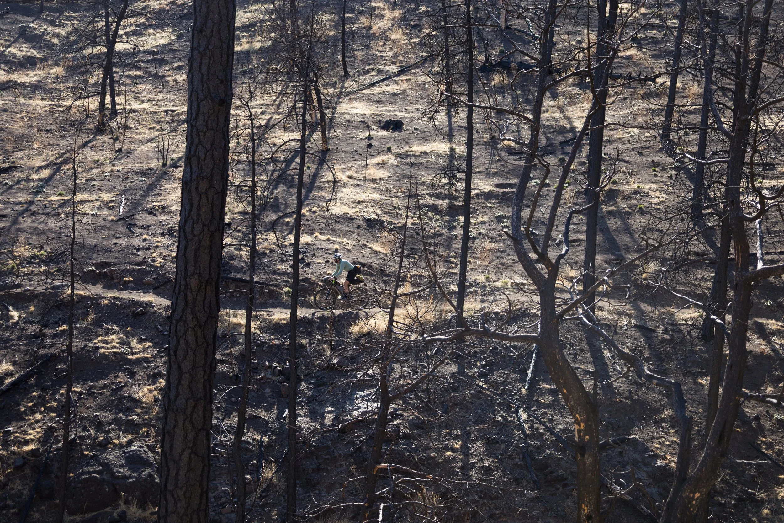 McCanlies, Jaxon-1654.jpg