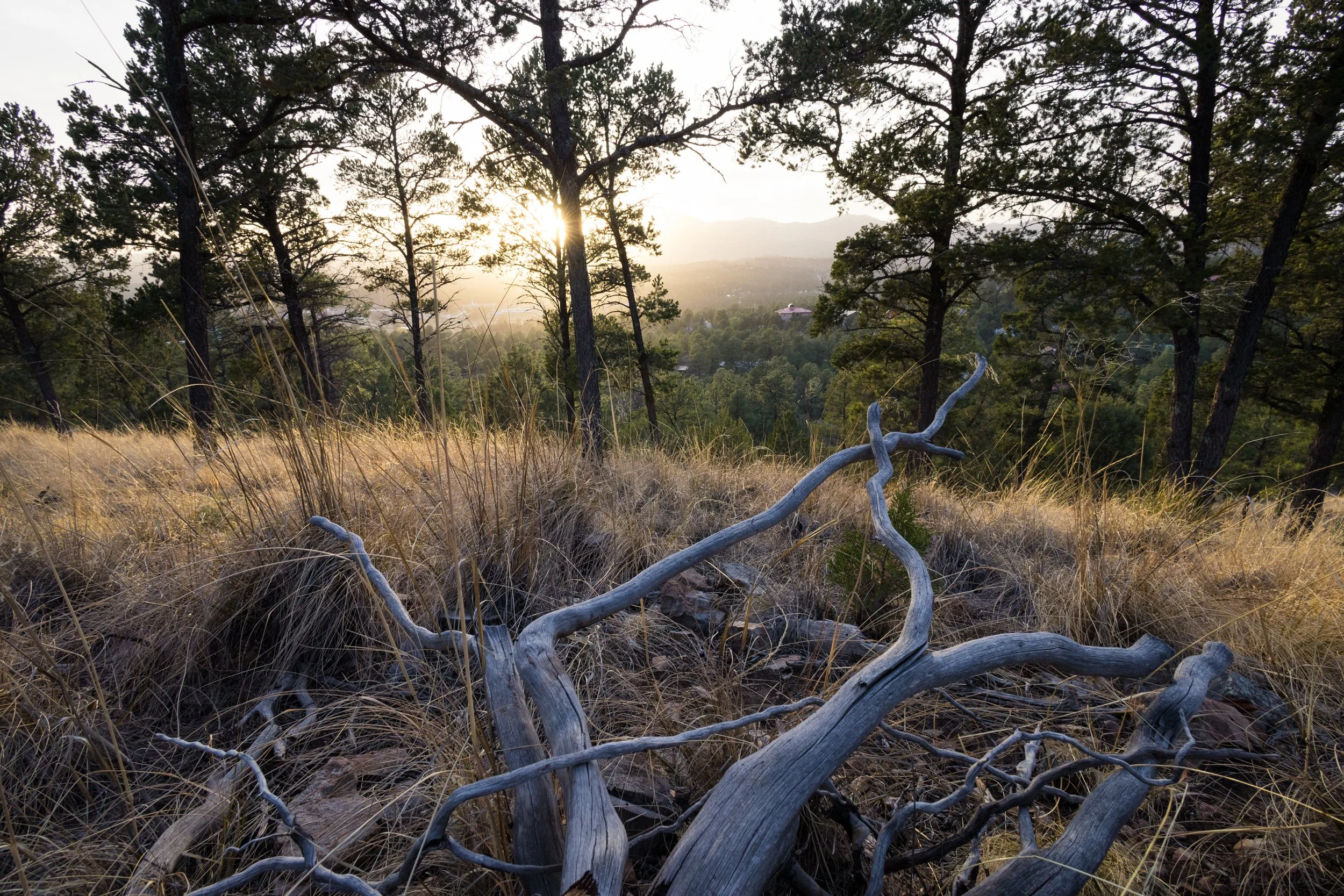 McCanlies, Jaxon-0724.jpg