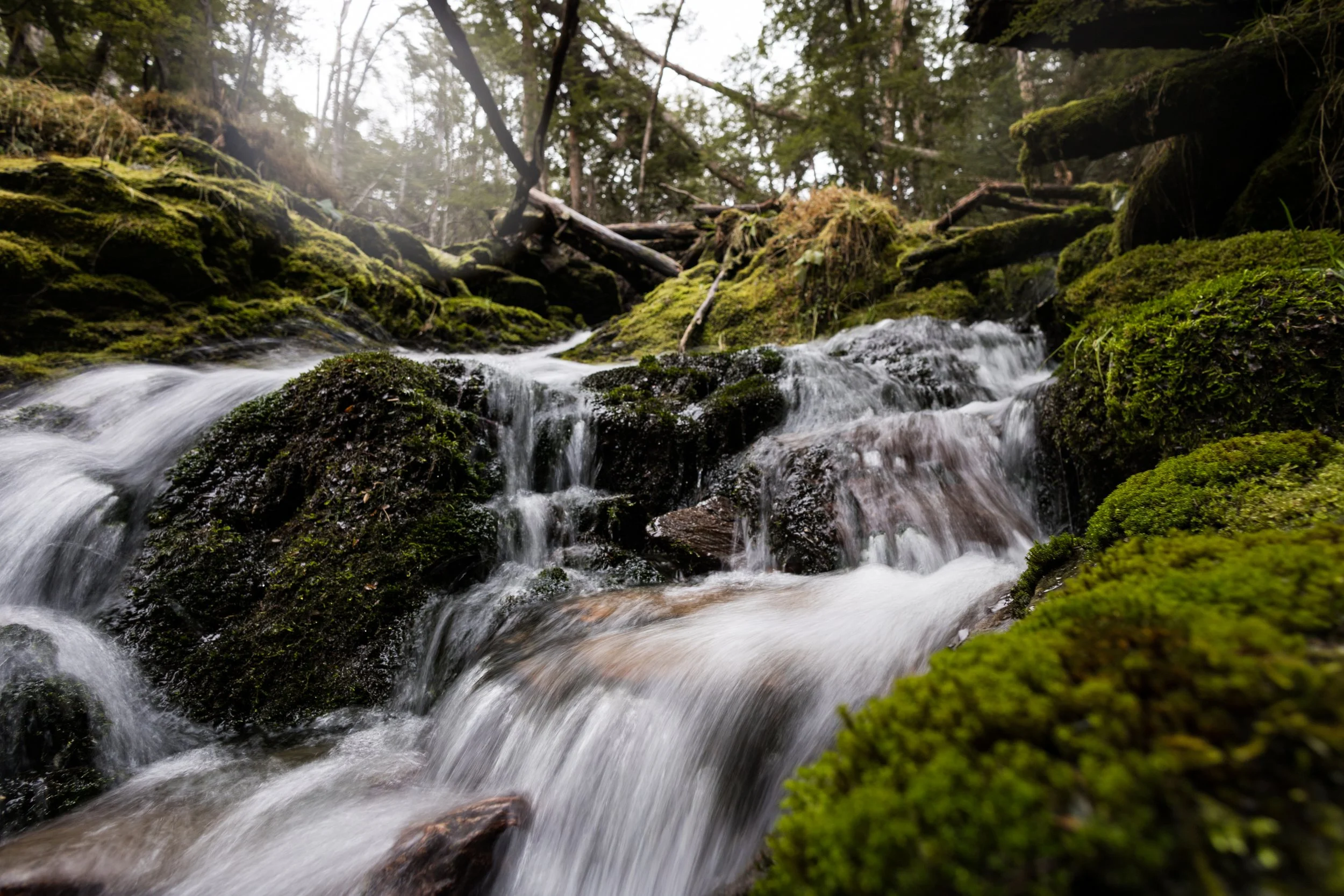 McCanlies, Jaxon-5836.jpg