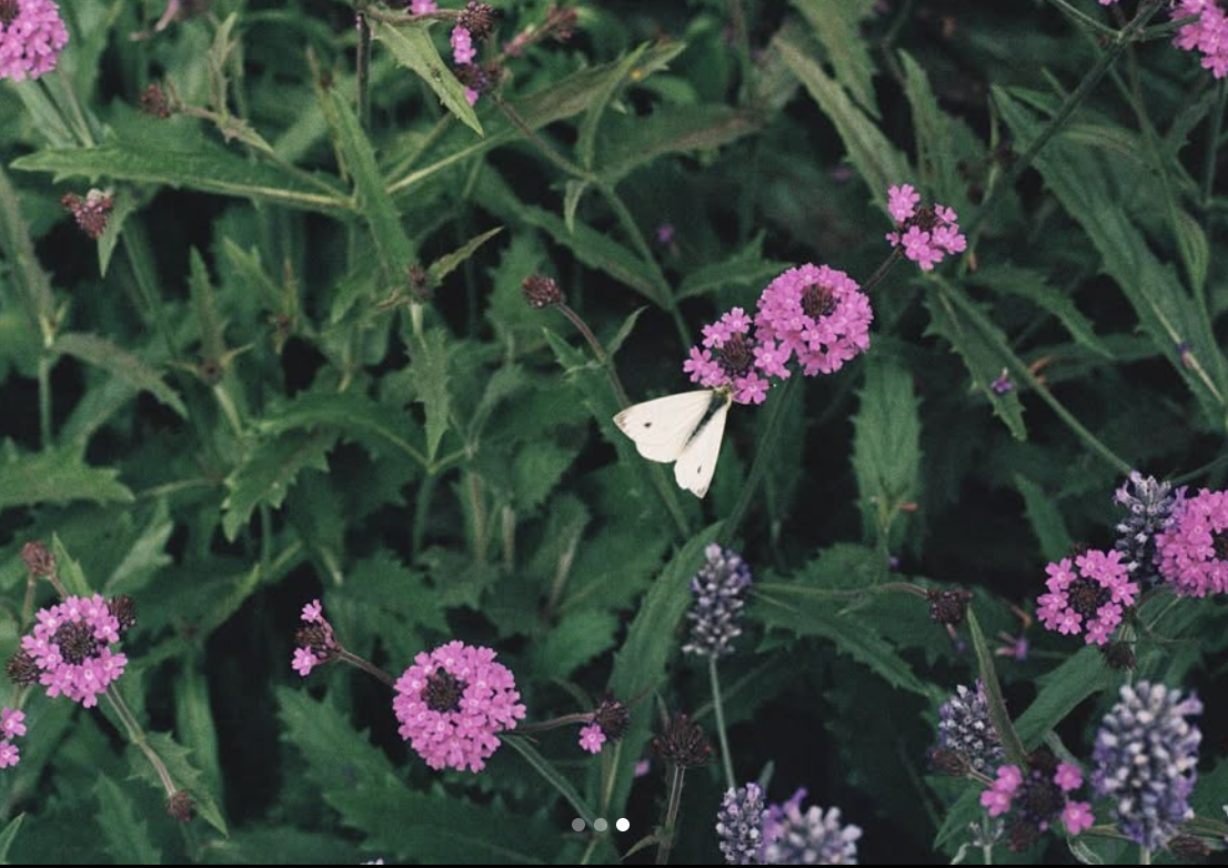 Screenshot 2026-01-10 at 15.06.33.png