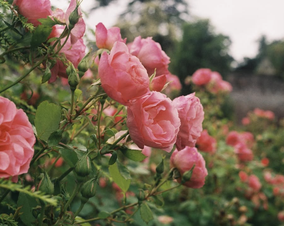 Screenshot 2026-01-10 at 15.08.46.png