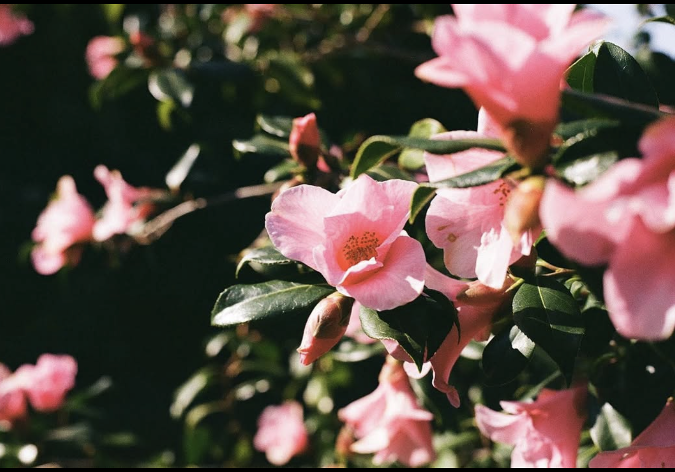 Screenshot 2026-01-10 at 15.10.05.png