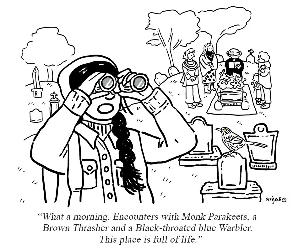 BIRDING CARTOON 1 LOW RES.jpg