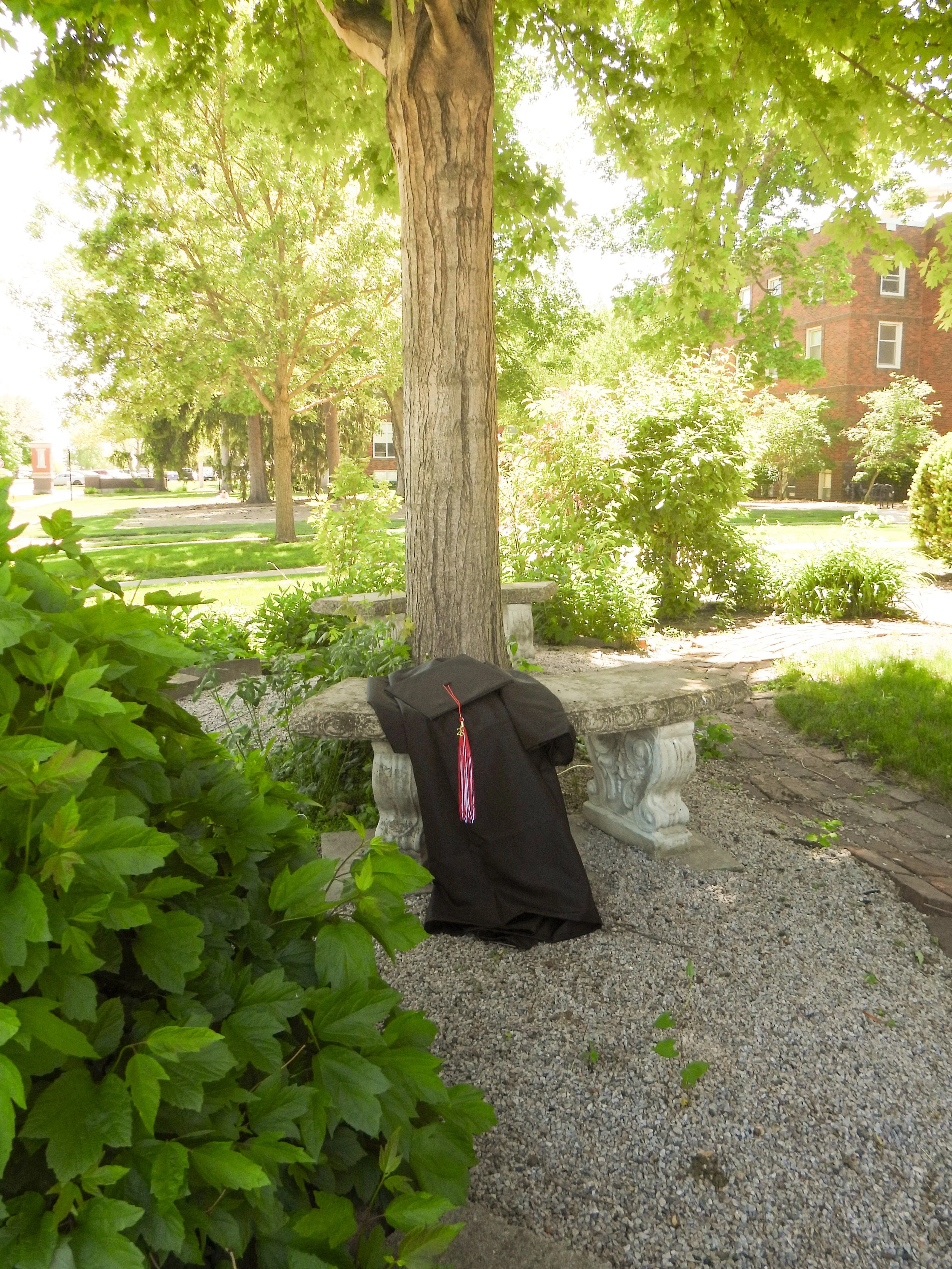 DSCN7303.jpg
