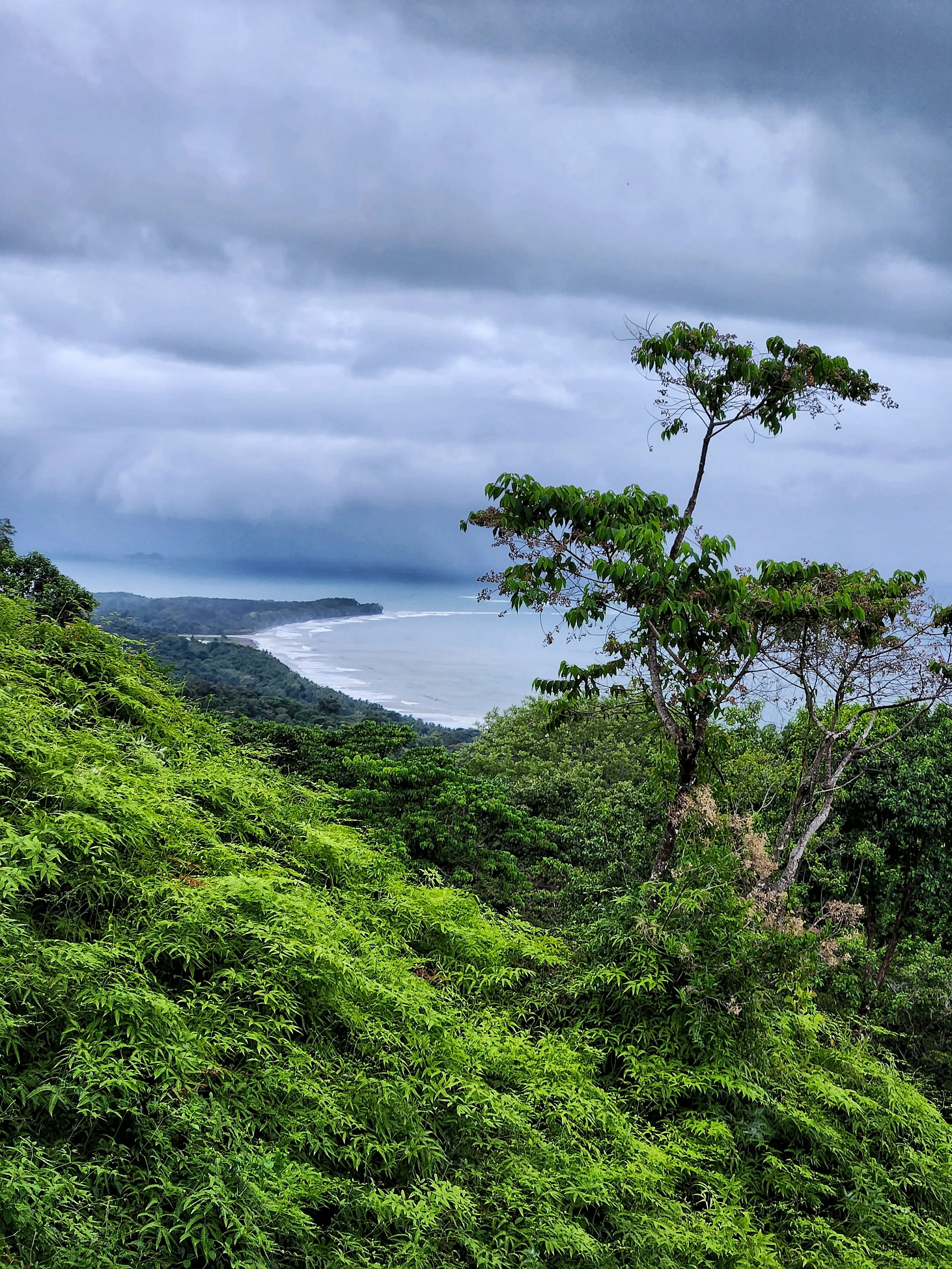 Whale Tail beach from Calle Bejuco