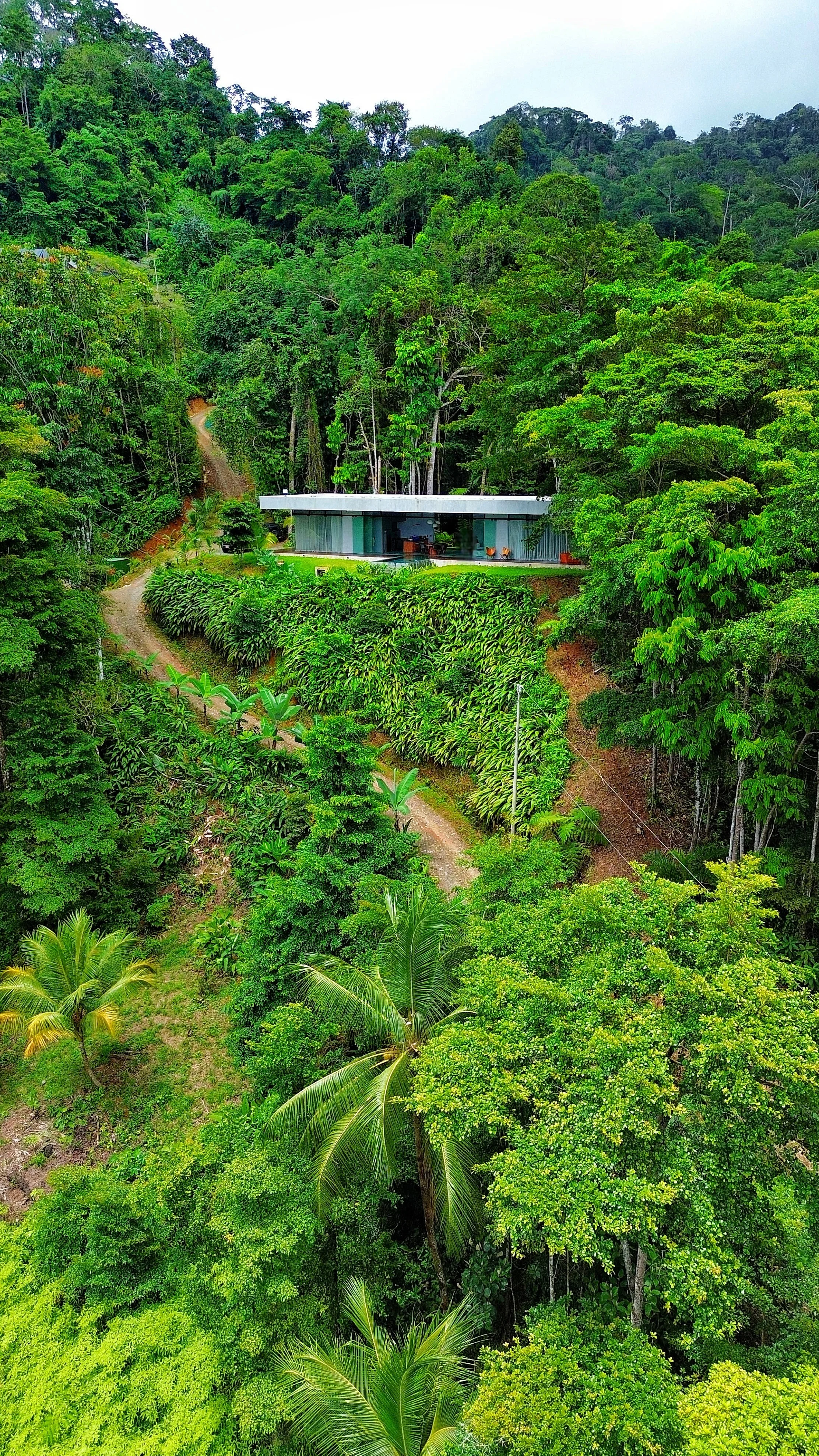 DJI_0303 (1).JPG