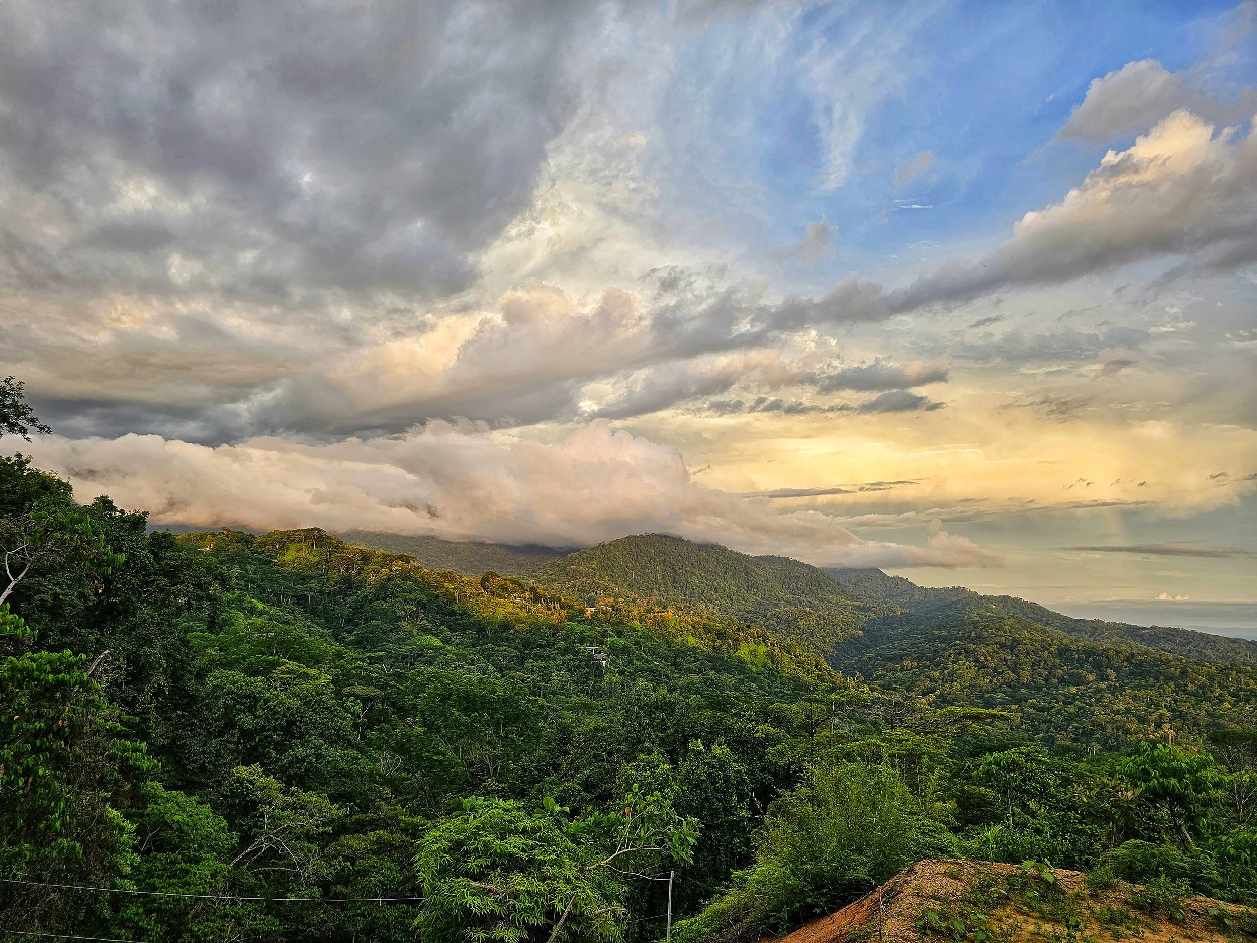 Uvita forests from the pool