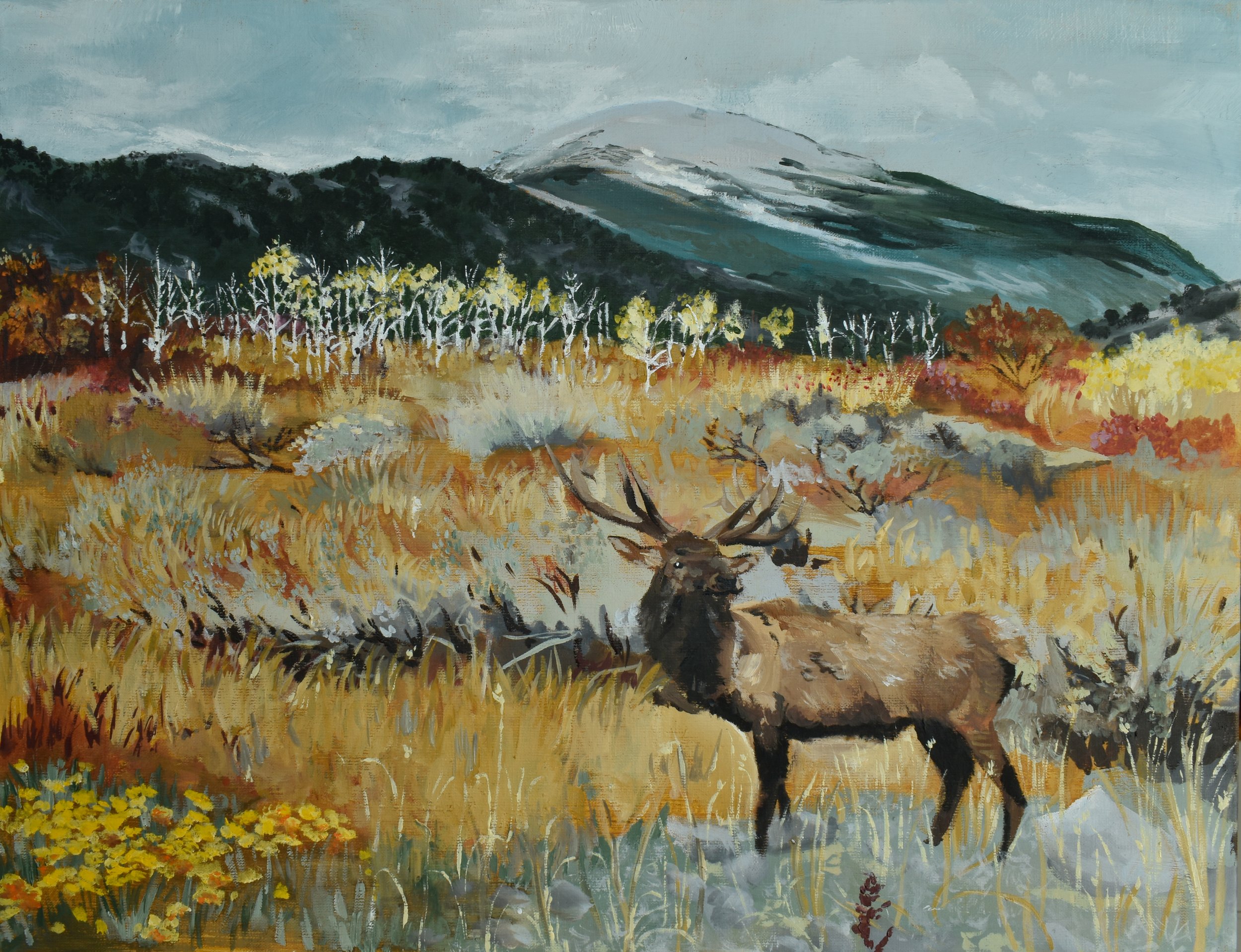"Roaming" Fine Art Print