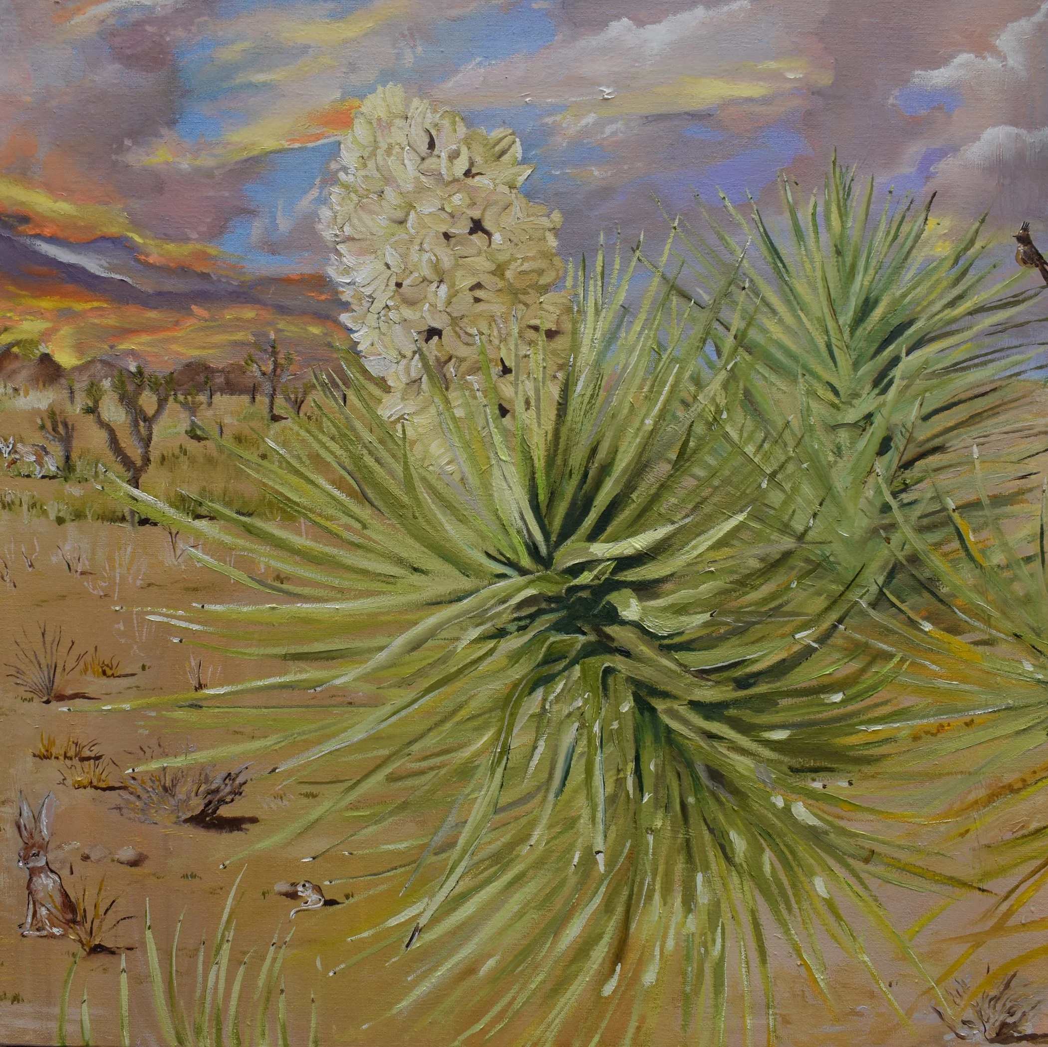 "Joshua Tree Yucca" Fine Art Print