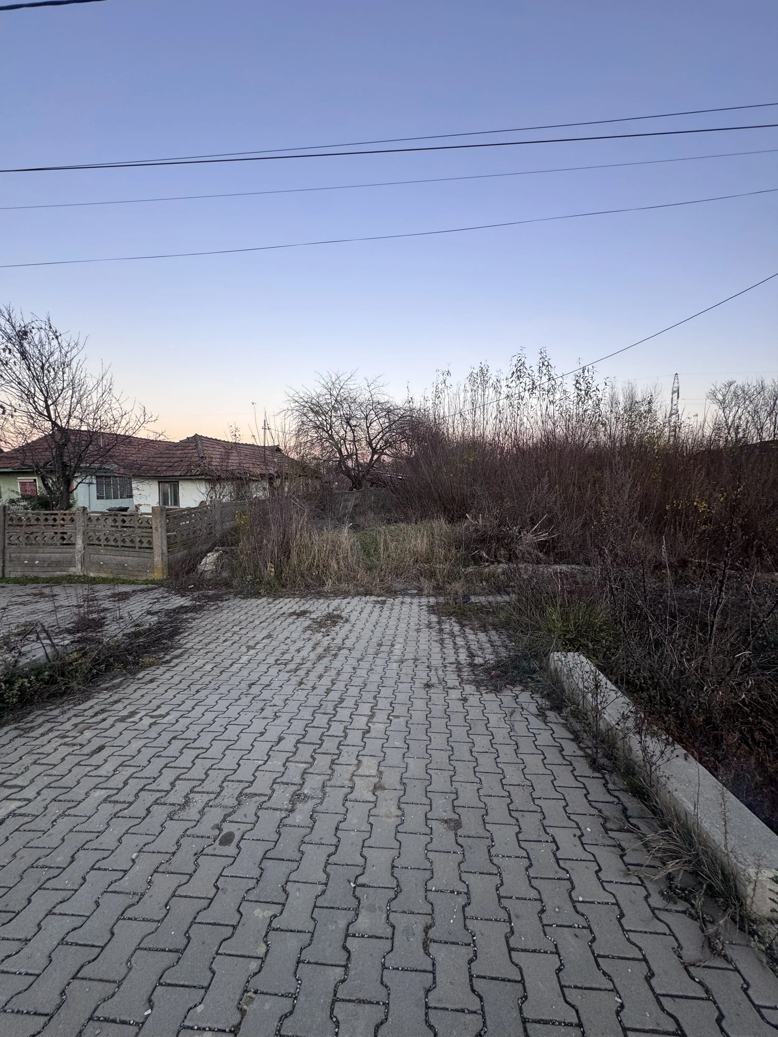 IMG_9093.jpeg