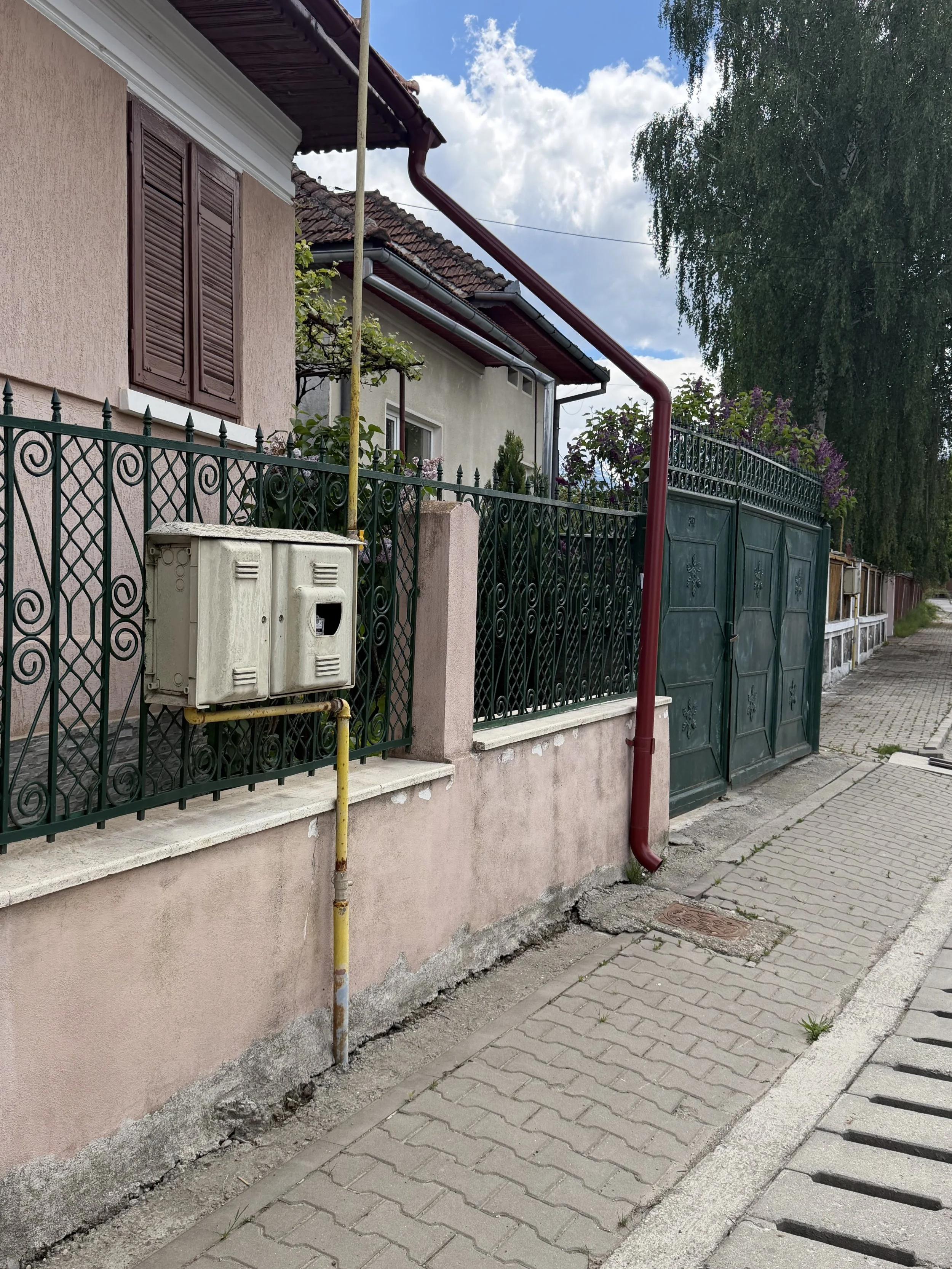 IMG_1306.jpeg