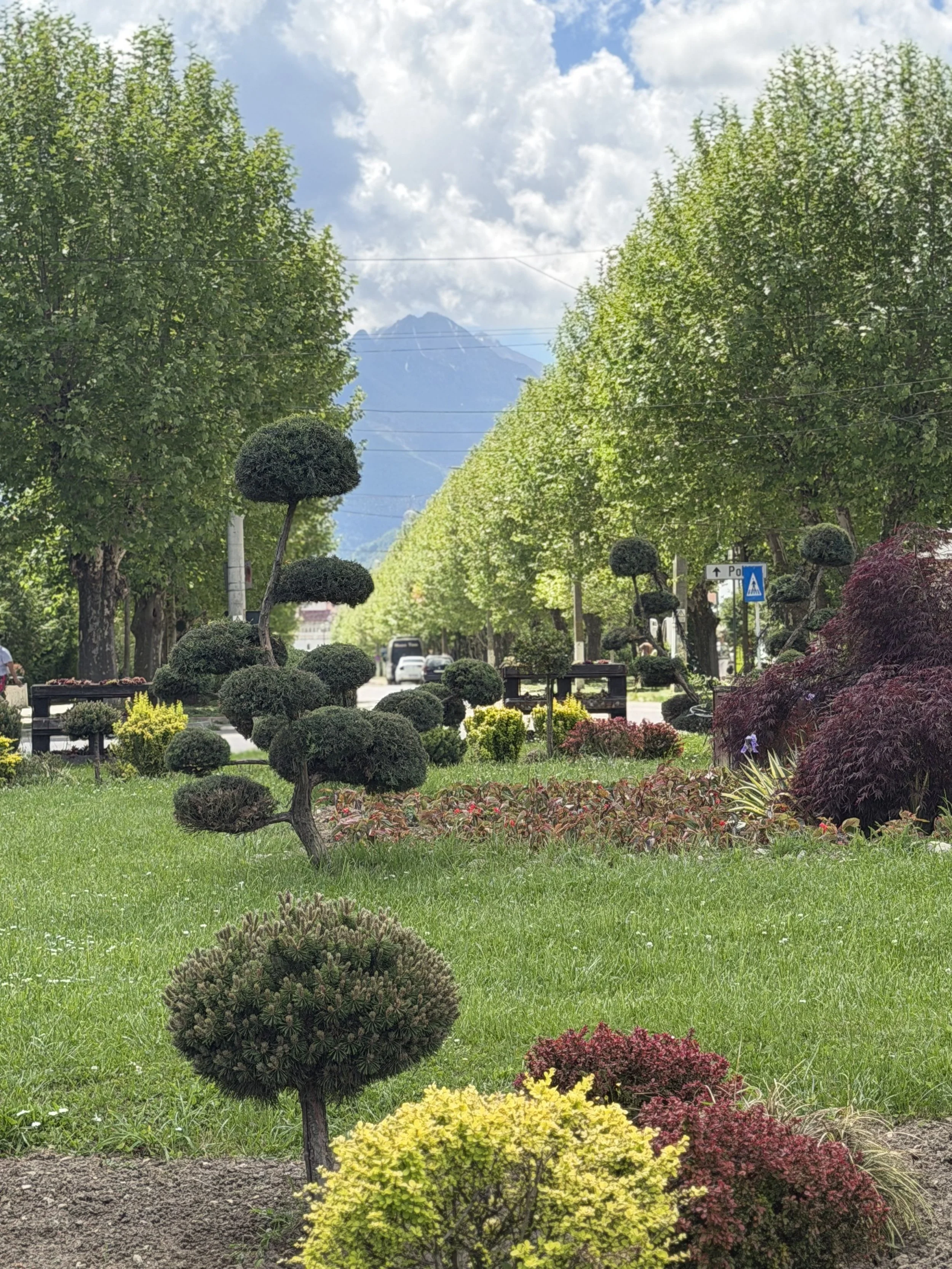 A landscaped street with colorful bushes and trees, a mountain in the background, and a partly cloudy sky.