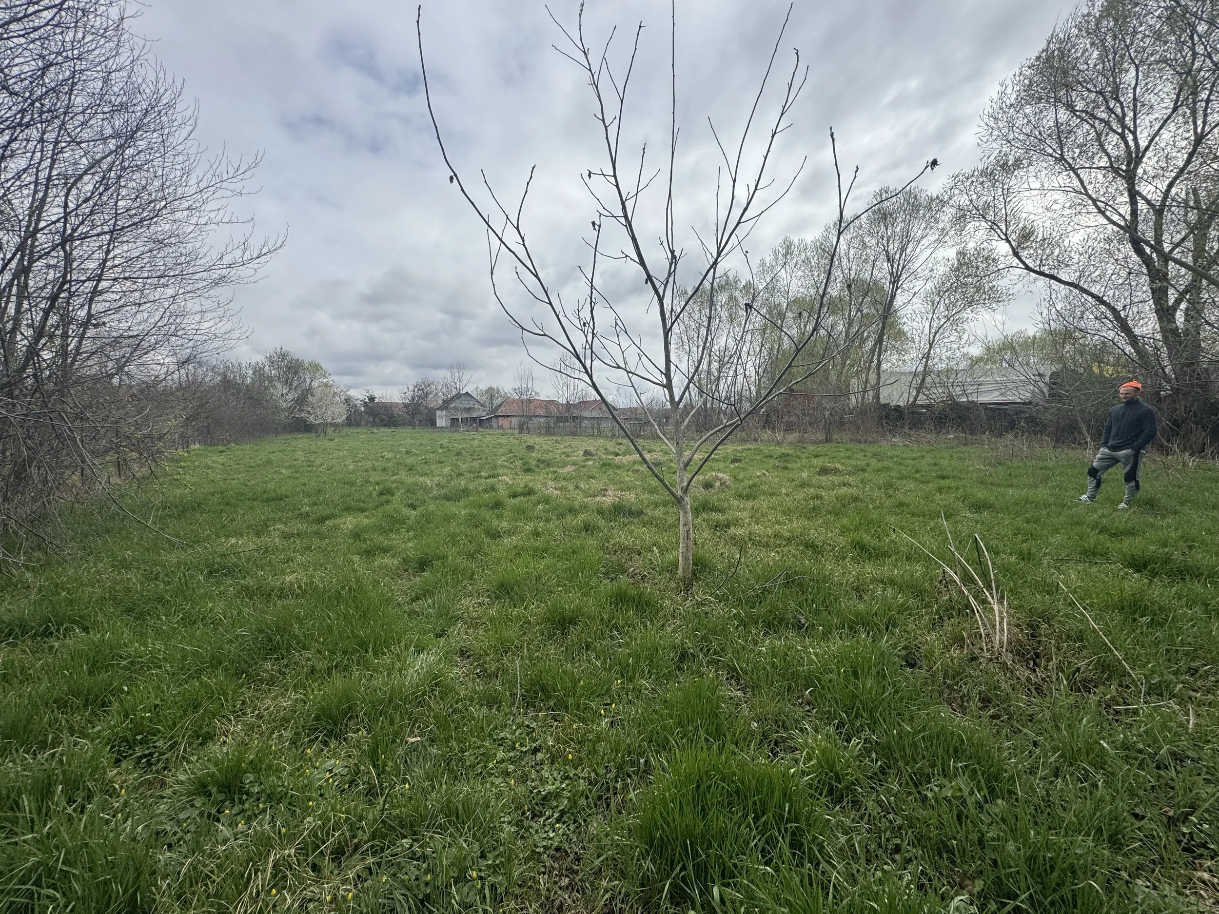 Teren intravilan 3.000 mp Sambǎta de Sus – 17 €/mp