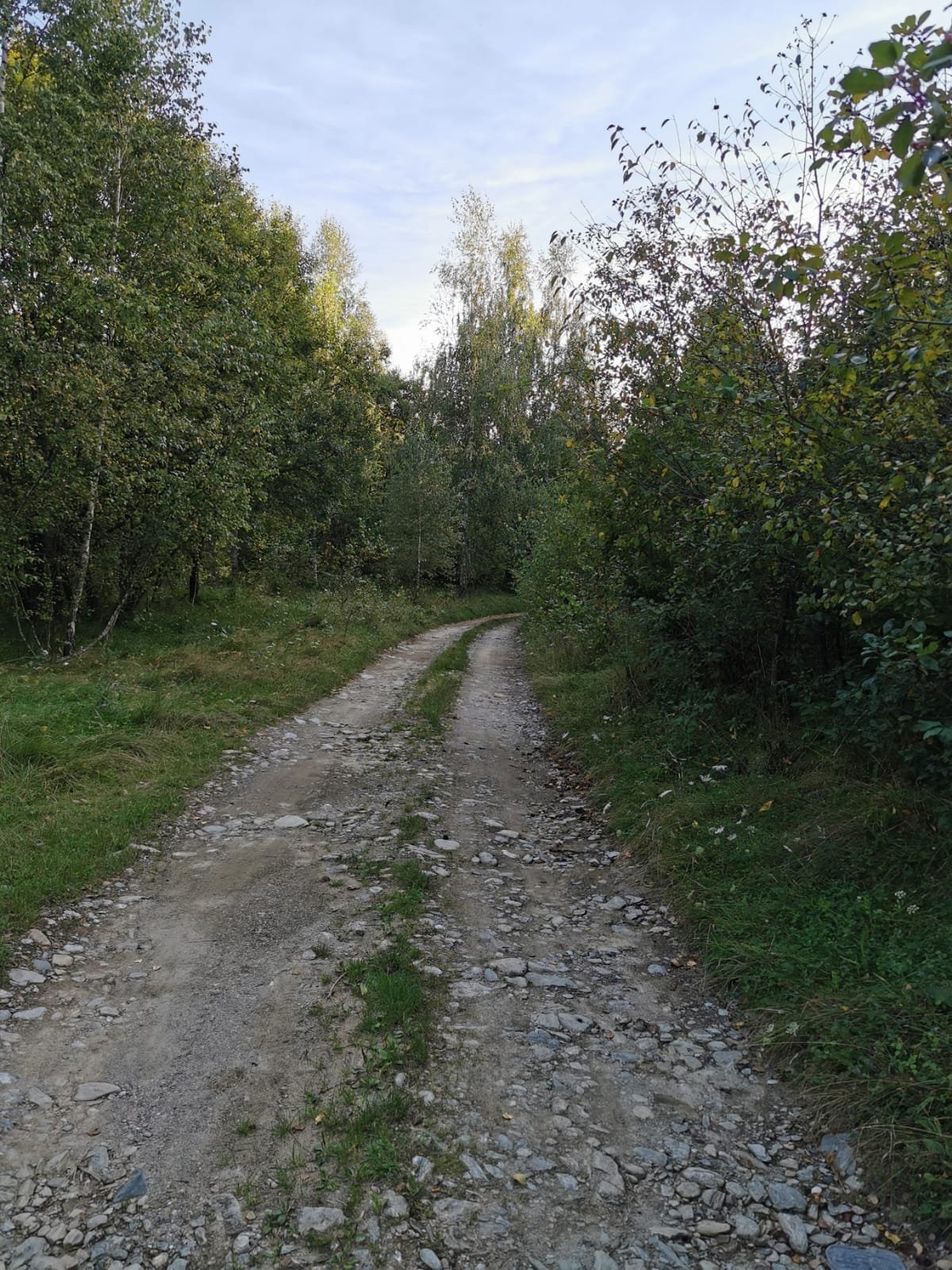 Teren intravilan 3.300 mp de vânzare în Viștișoara – vedere spre Munții Făgăraș