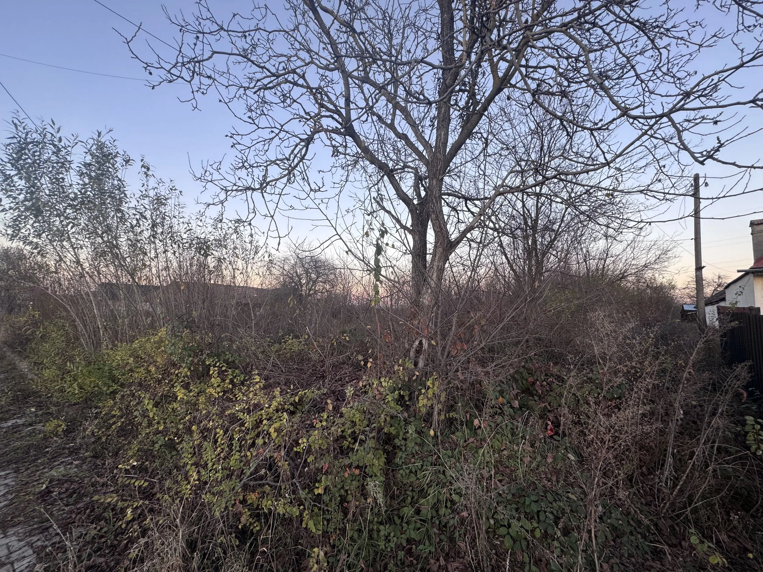 IMG_9088.jpeg