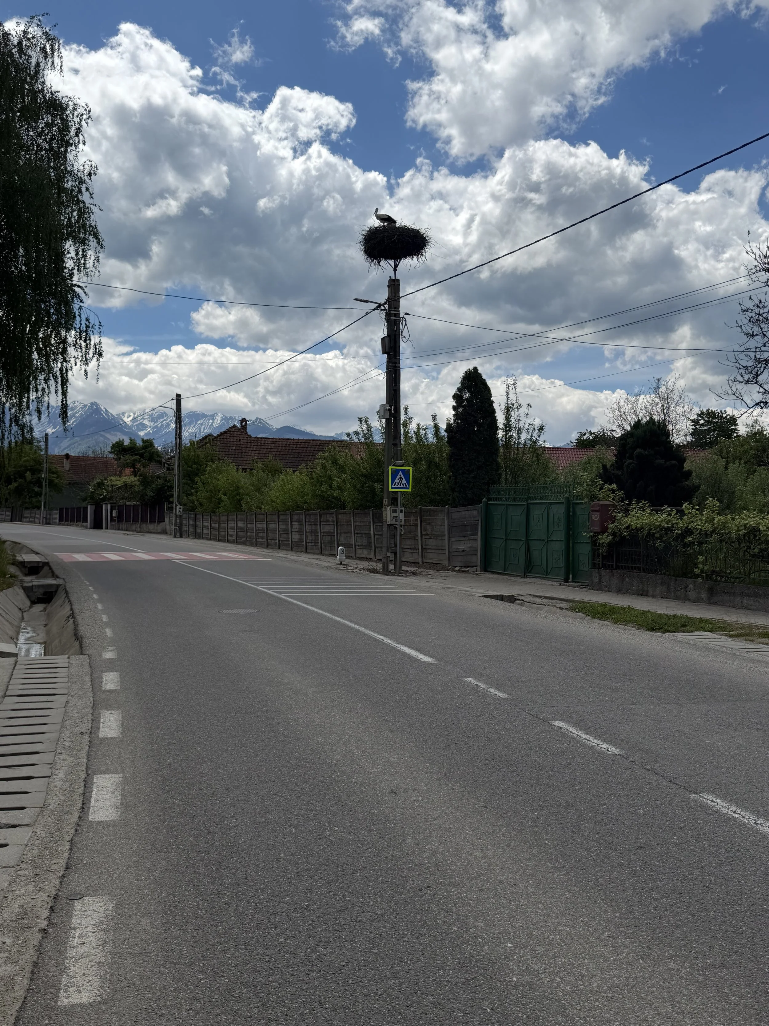 IMG_1303.jpeg