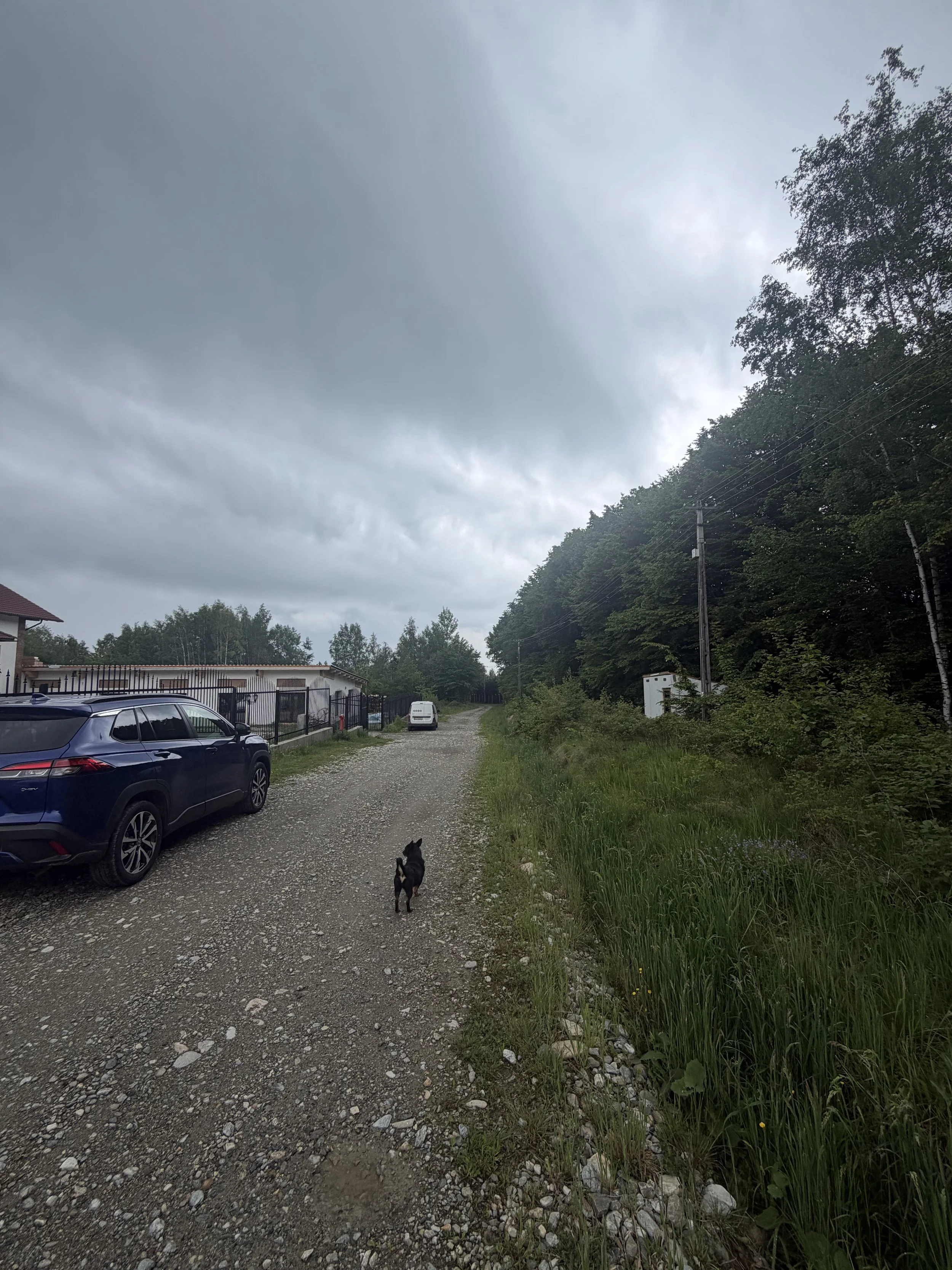 IMG_1449.jpeg
