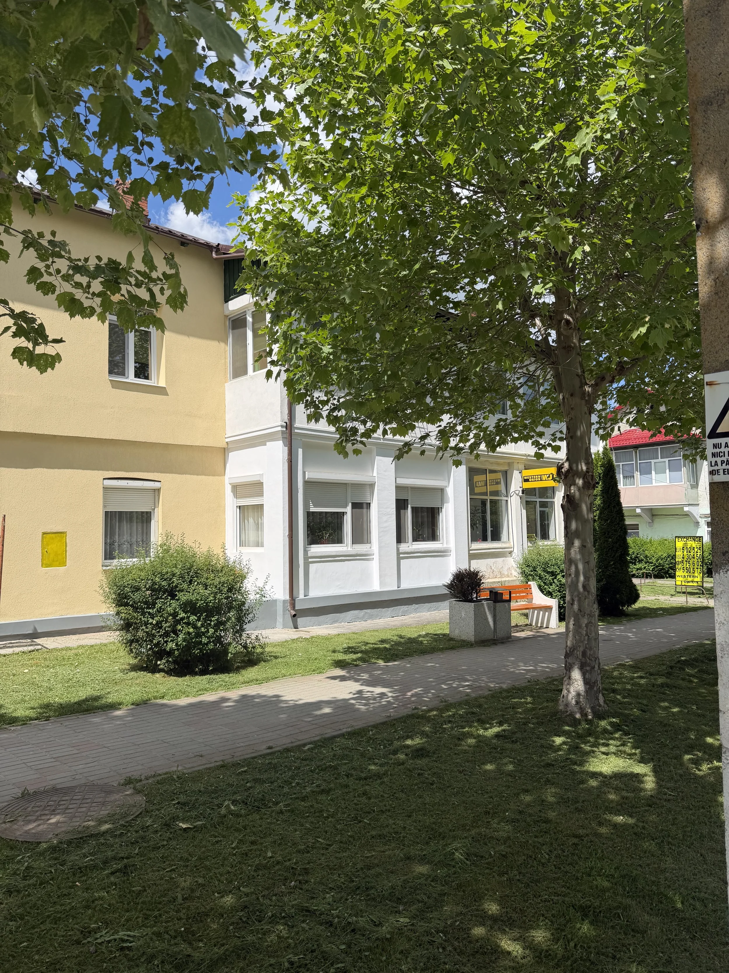 A street scene with a tree, a yellow building, and a sidewalk with grass. There are also some small bushes, a bench, and signs on the right side.