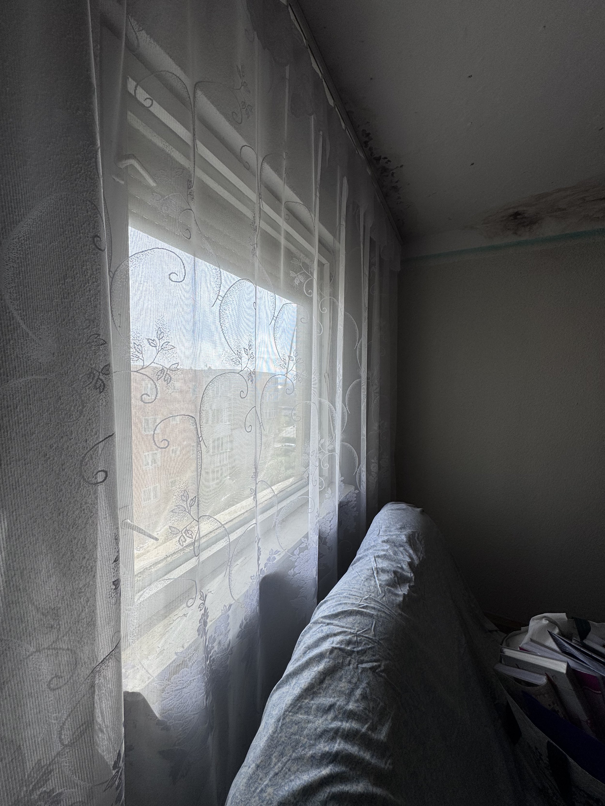 IMG_8340 2.jpeg