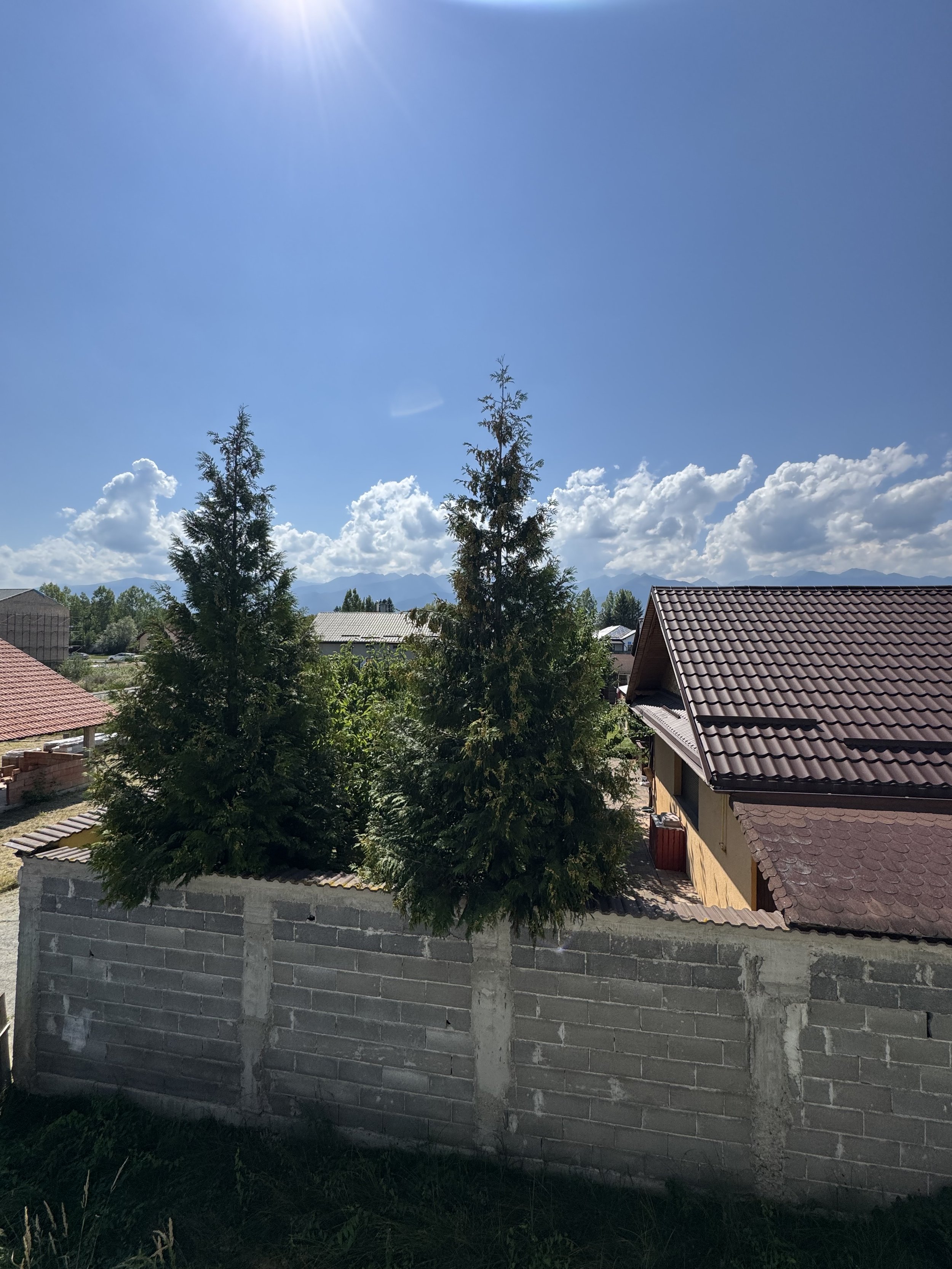 IMG_7434.jpeg
