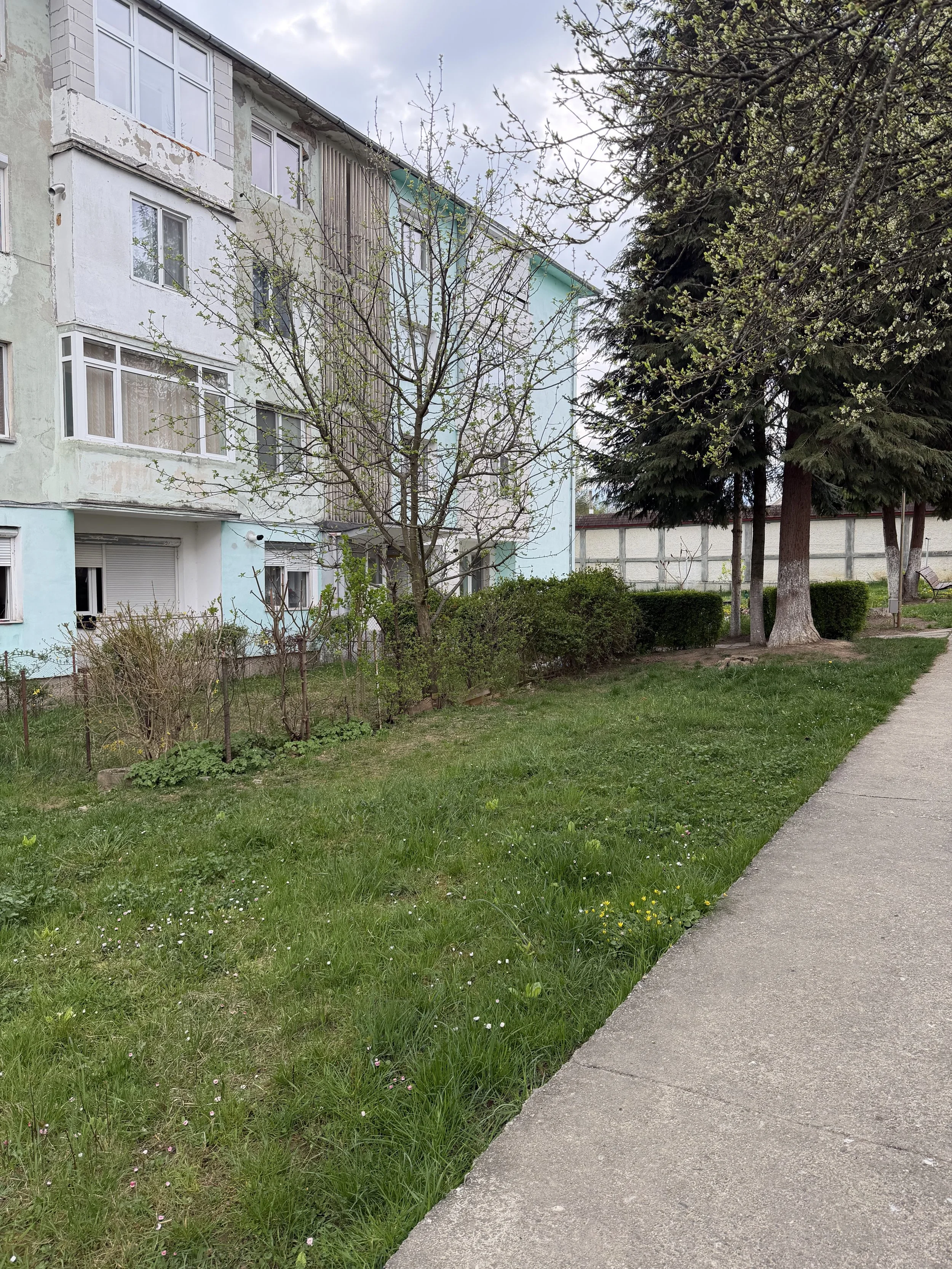 IMG_0624.jpeg