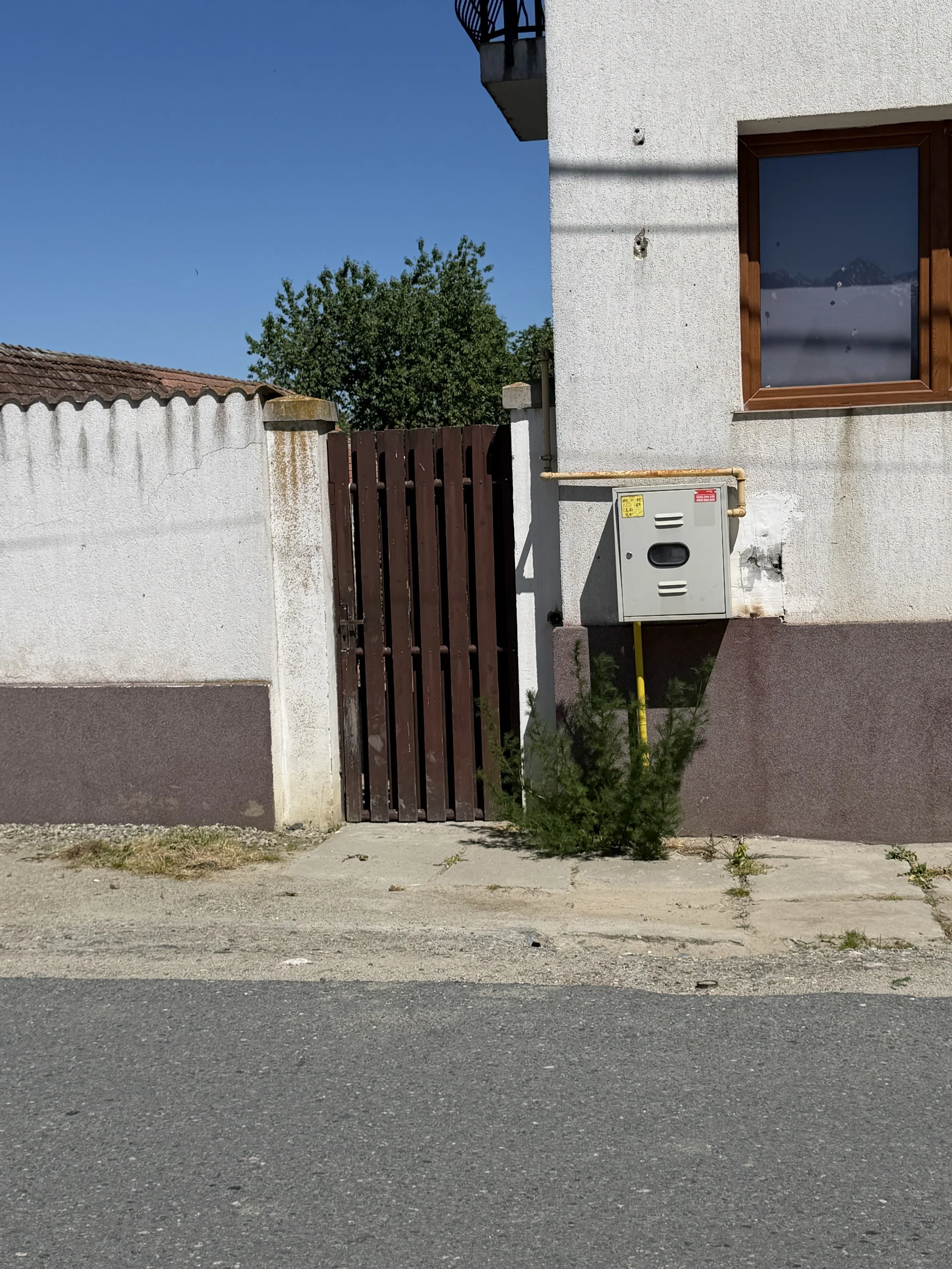 IMG_1506.jpeg