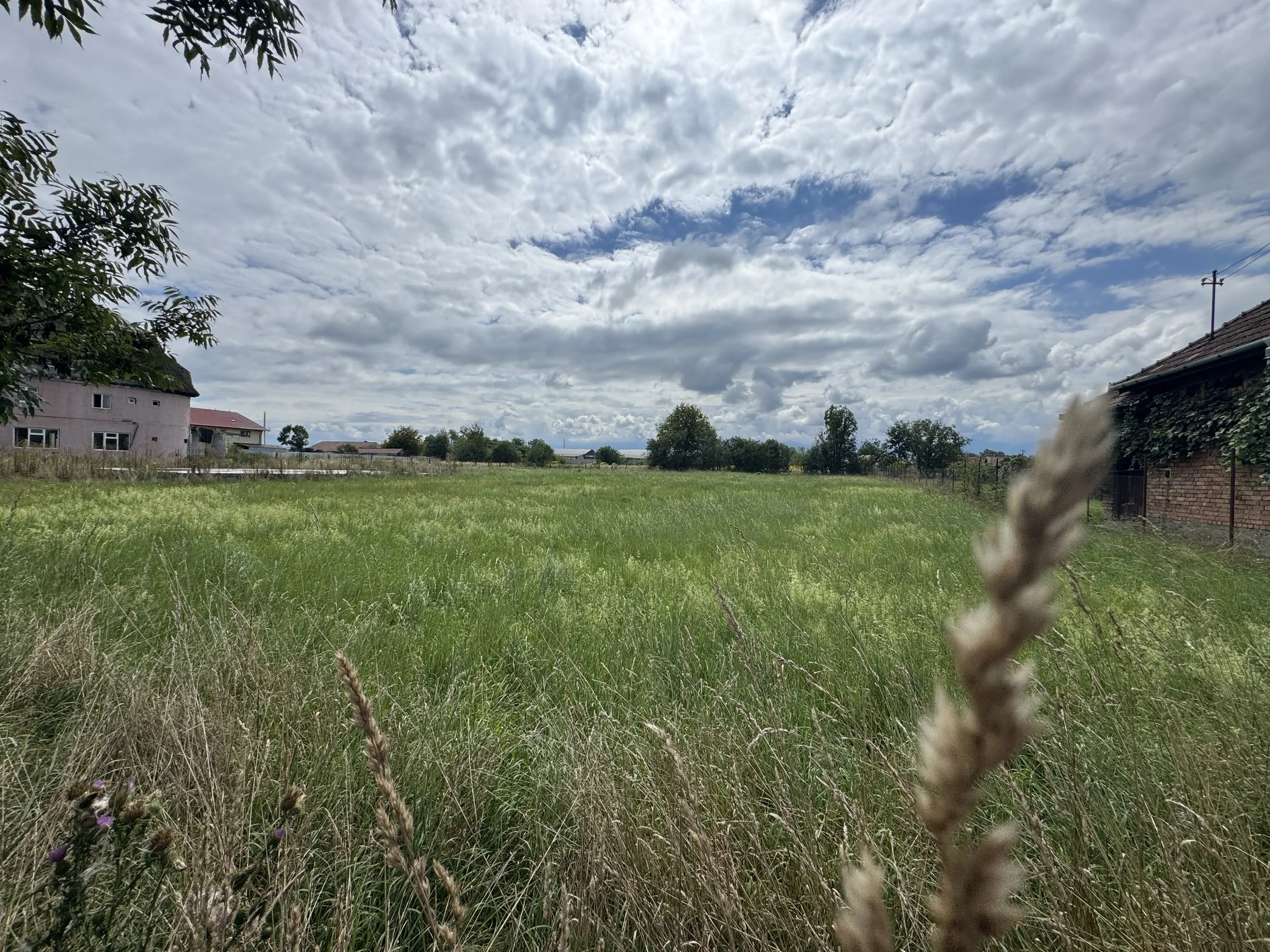 IMG_7589.jpeg