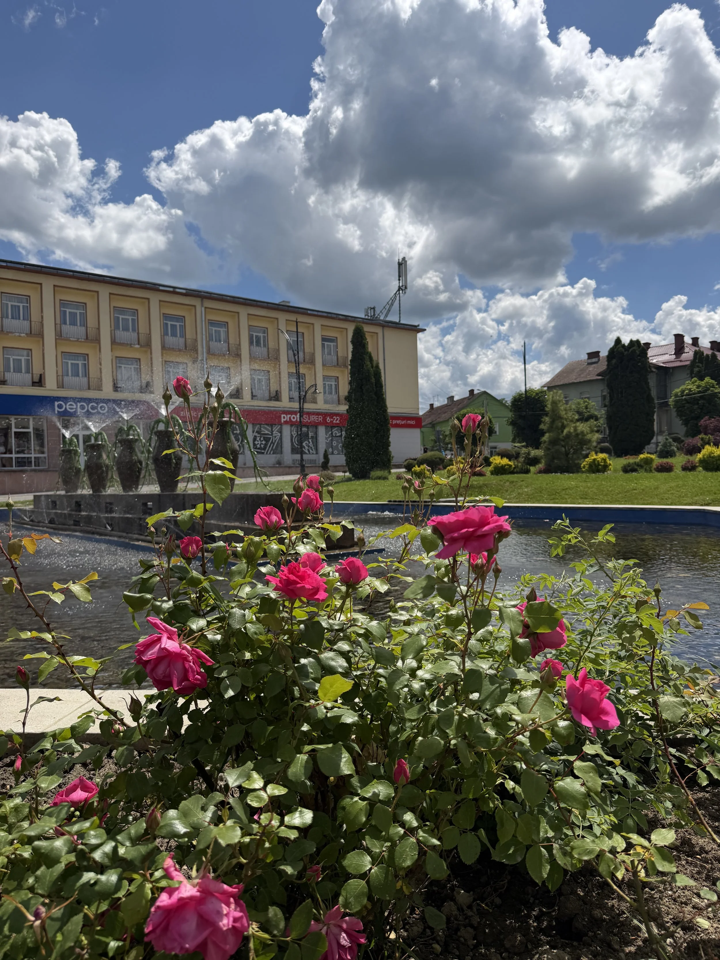 Pink roses blooming in front of a fountain, with a large building and a blue sky with clouds in the background.