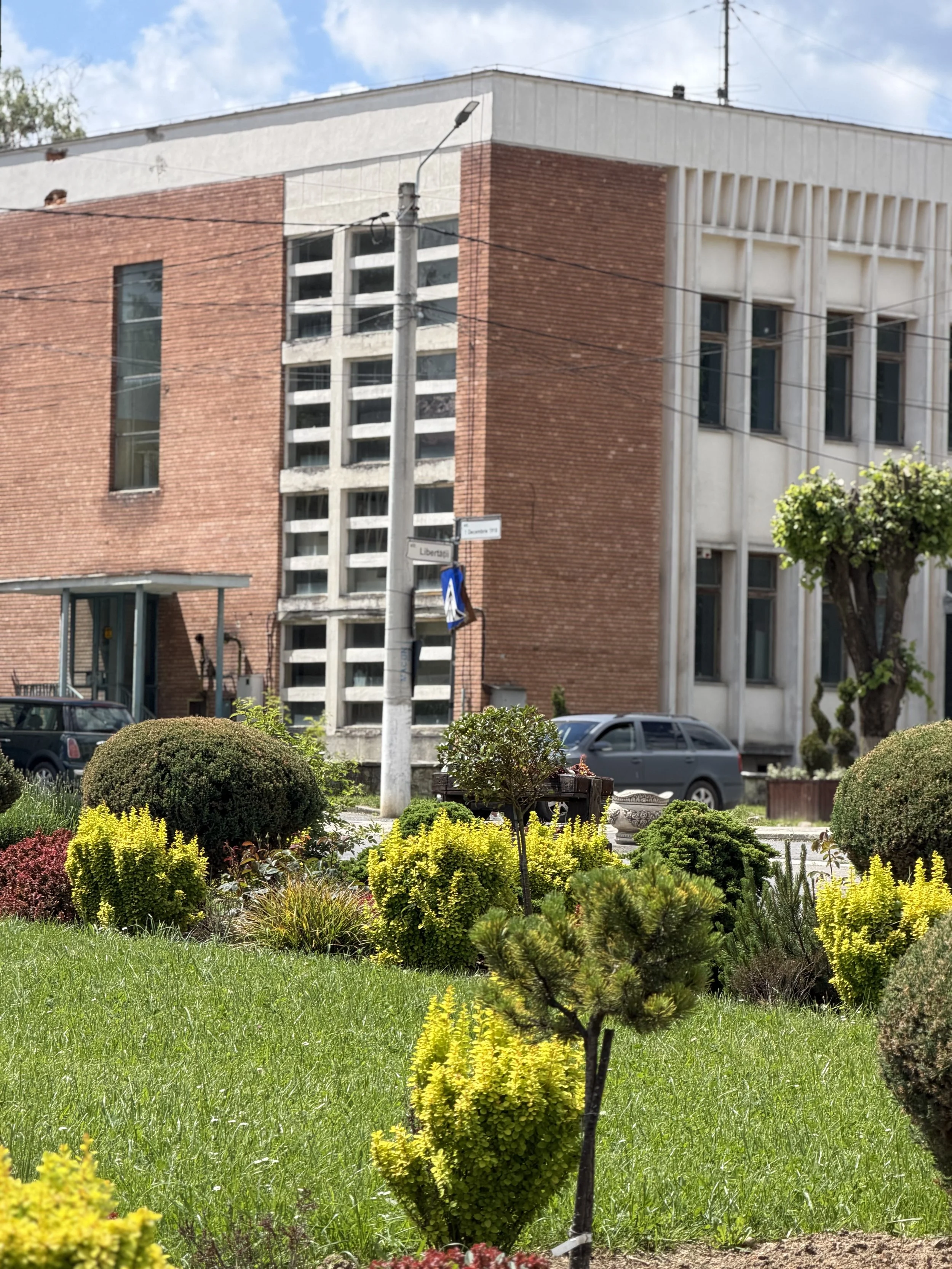 A city street scene with landscaped greenery, including bushes and flowers, in the foreground. In the background, there are buildings with brick and concrete facades, several windows, and some parked cars. A utility pole with wires is also visible.