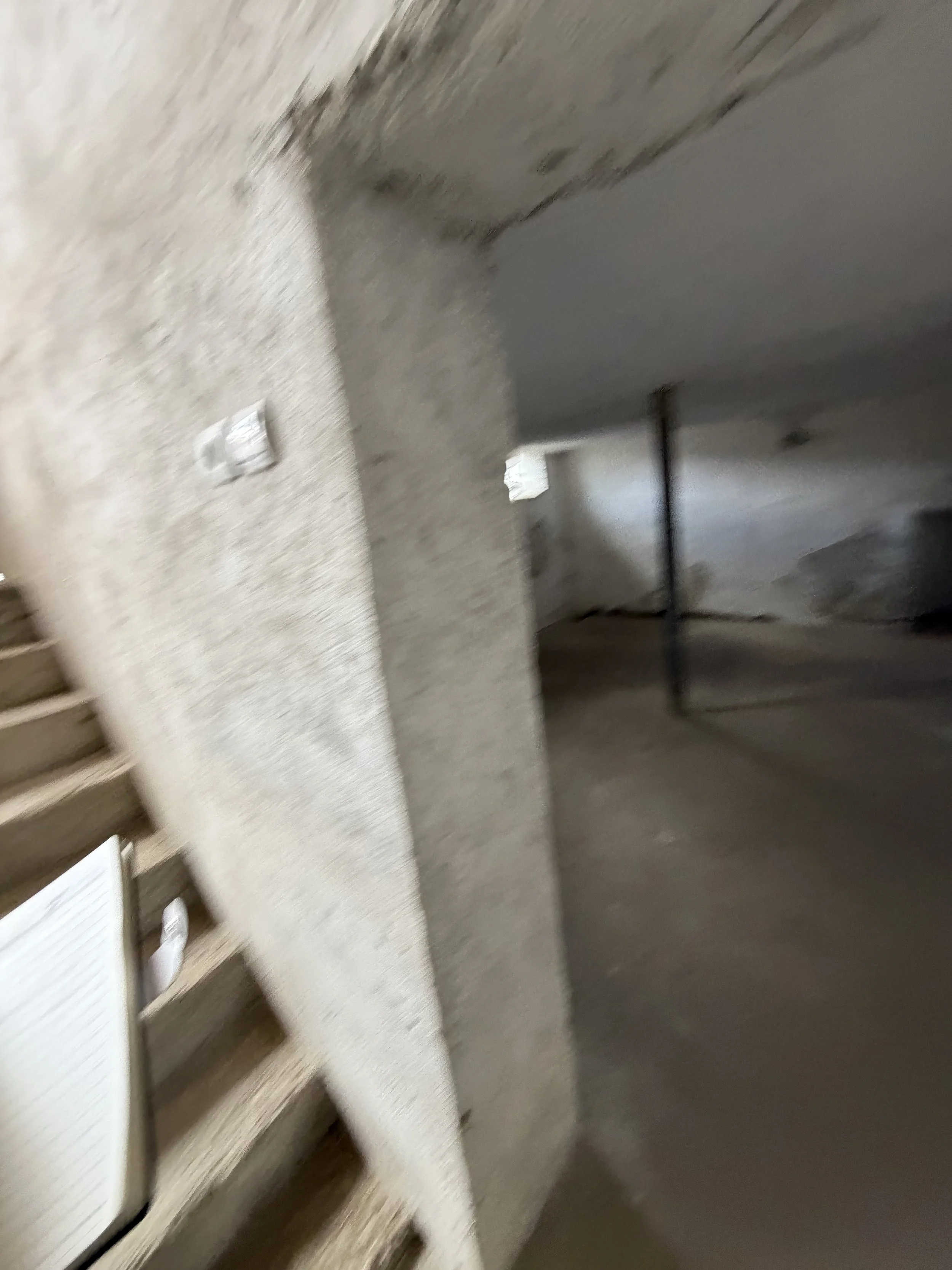IMG_1351.jpeg