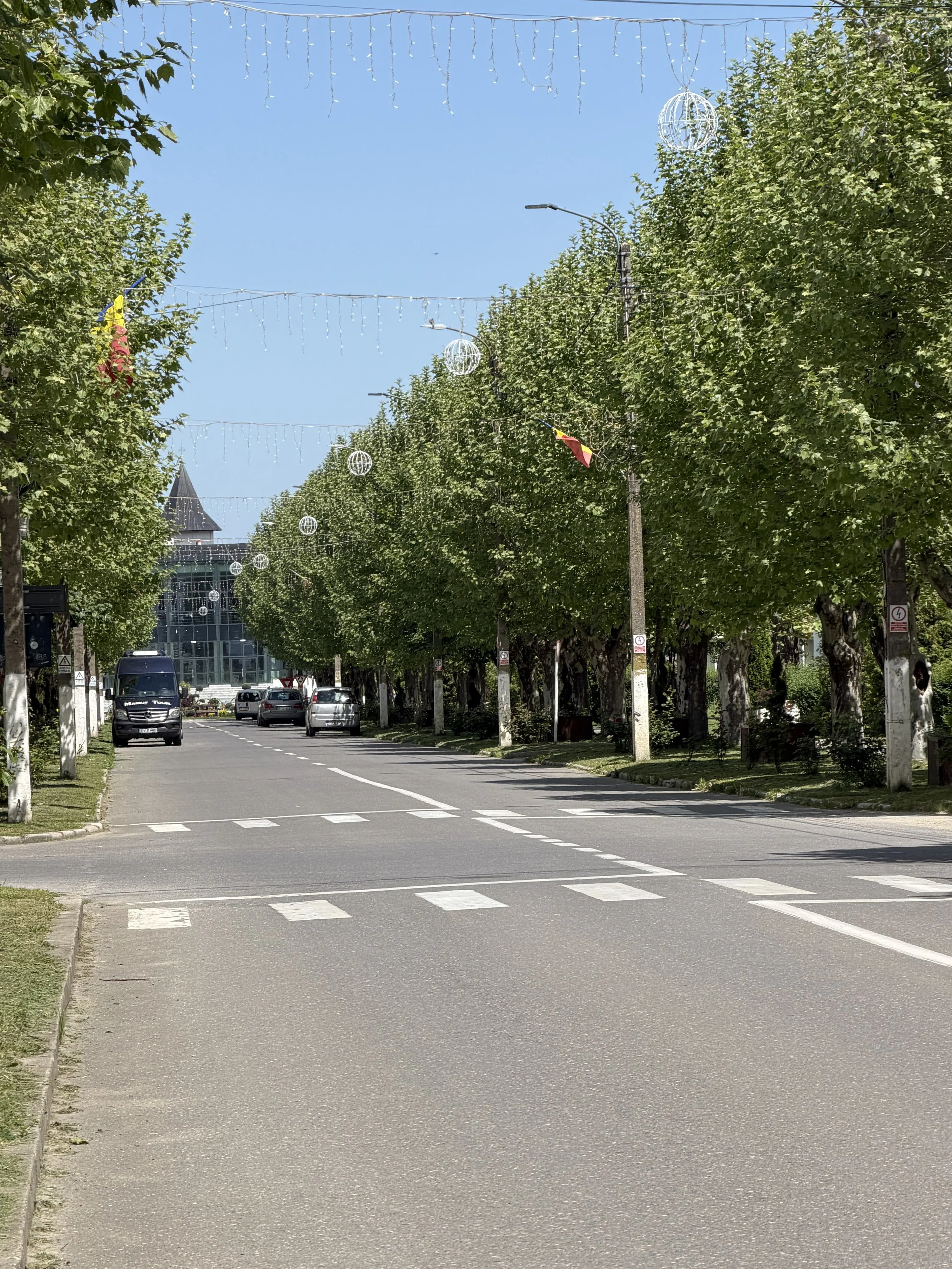 A quiet street lined with tall green trees decorated with string lights and spherical ornaments. Parked cars are visible along the curb, and a building with a pointed roof is in the background. The sky is clear and blue.