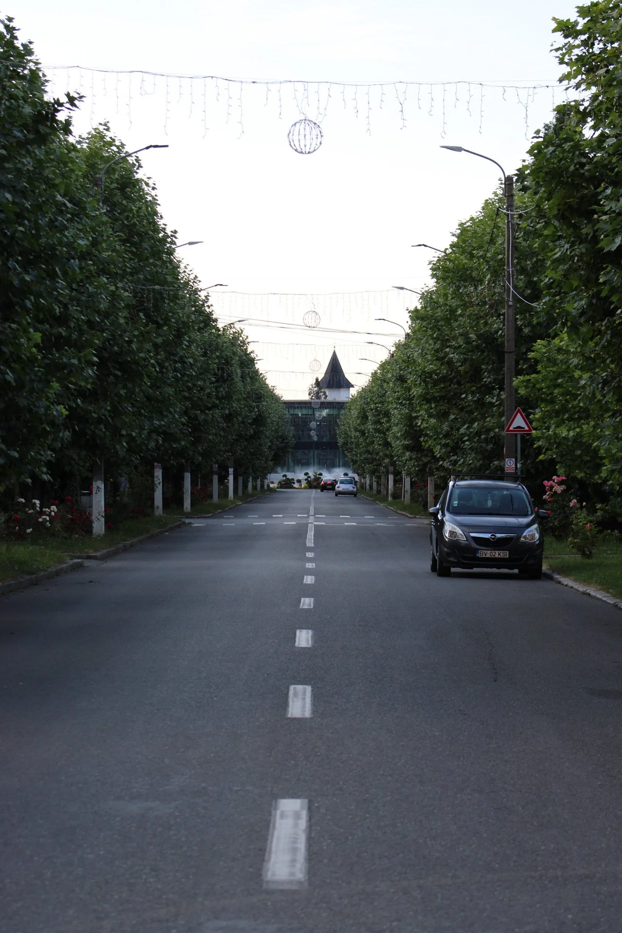 A straight road lined with tall green trees on both sides, decorated with string lights and spherical ornaments hanging overhead. Parked cars are visible along the sides, and a building with a pointed roof is in the distant background.