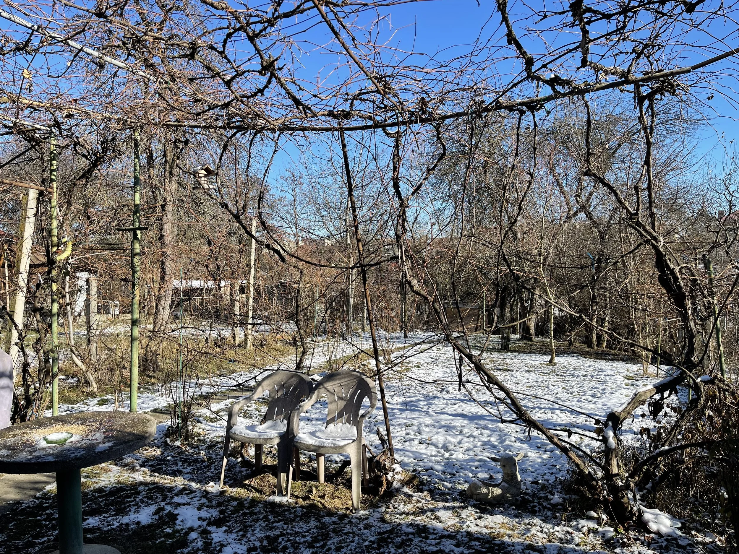 IMG_2768.jpeg
