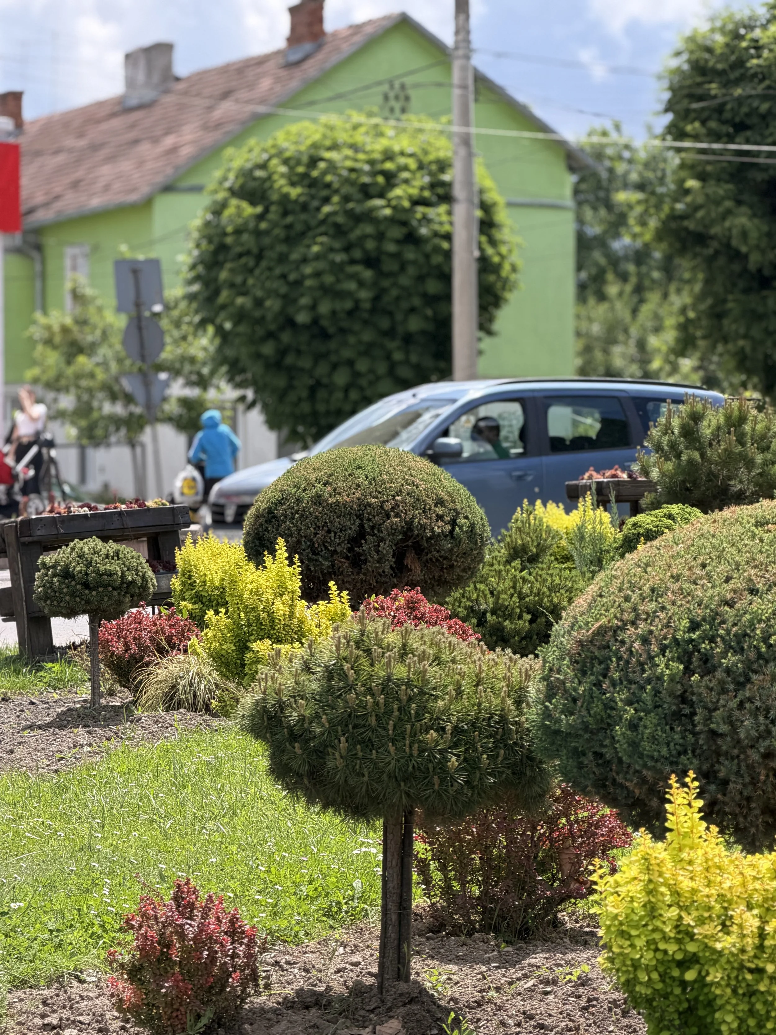 Colorful garden with various bushes, plants, and flowers in the foreground and a toy car and a house with a green wall and red roof in the background.