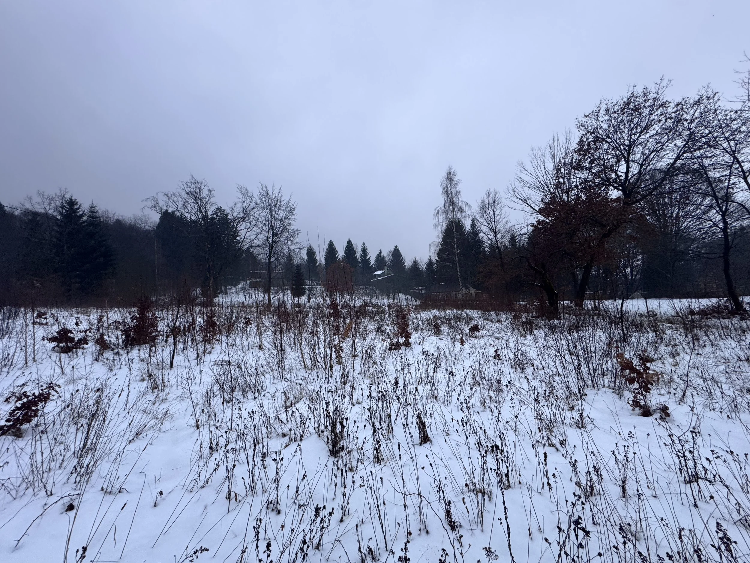 IMG_9887.jpeg