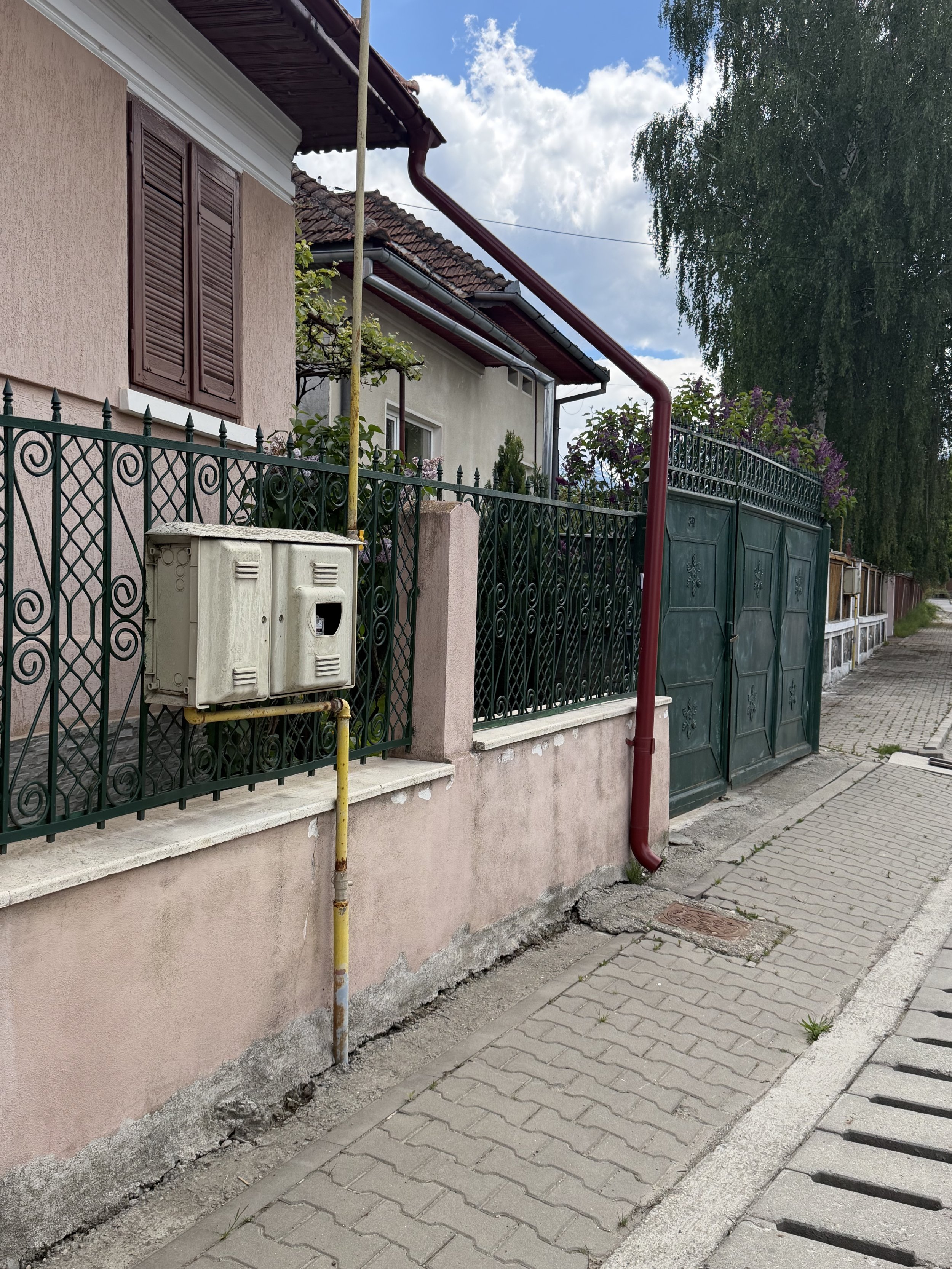 IMG_1306.jpeg