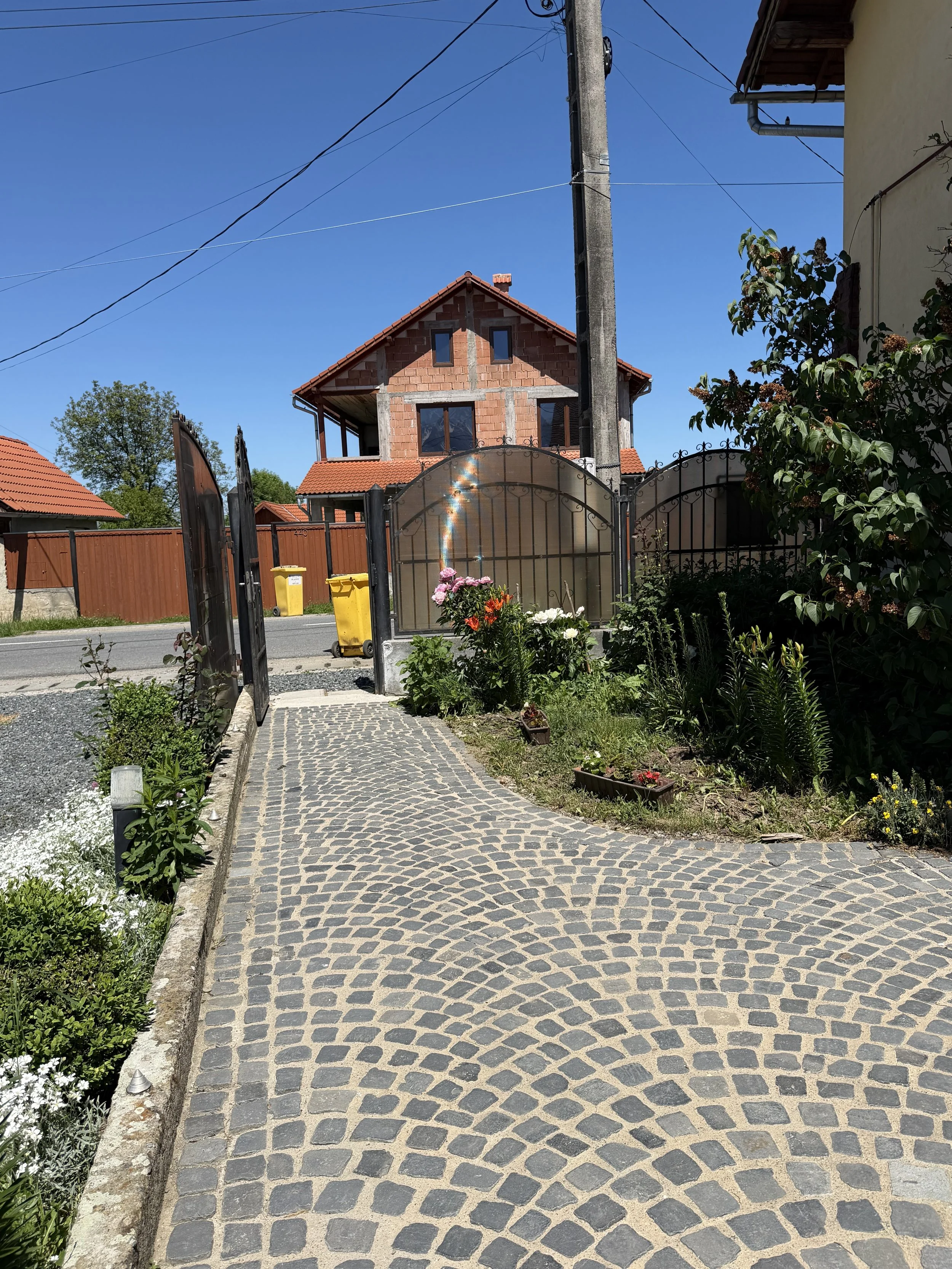 IMG_1590.jpeg